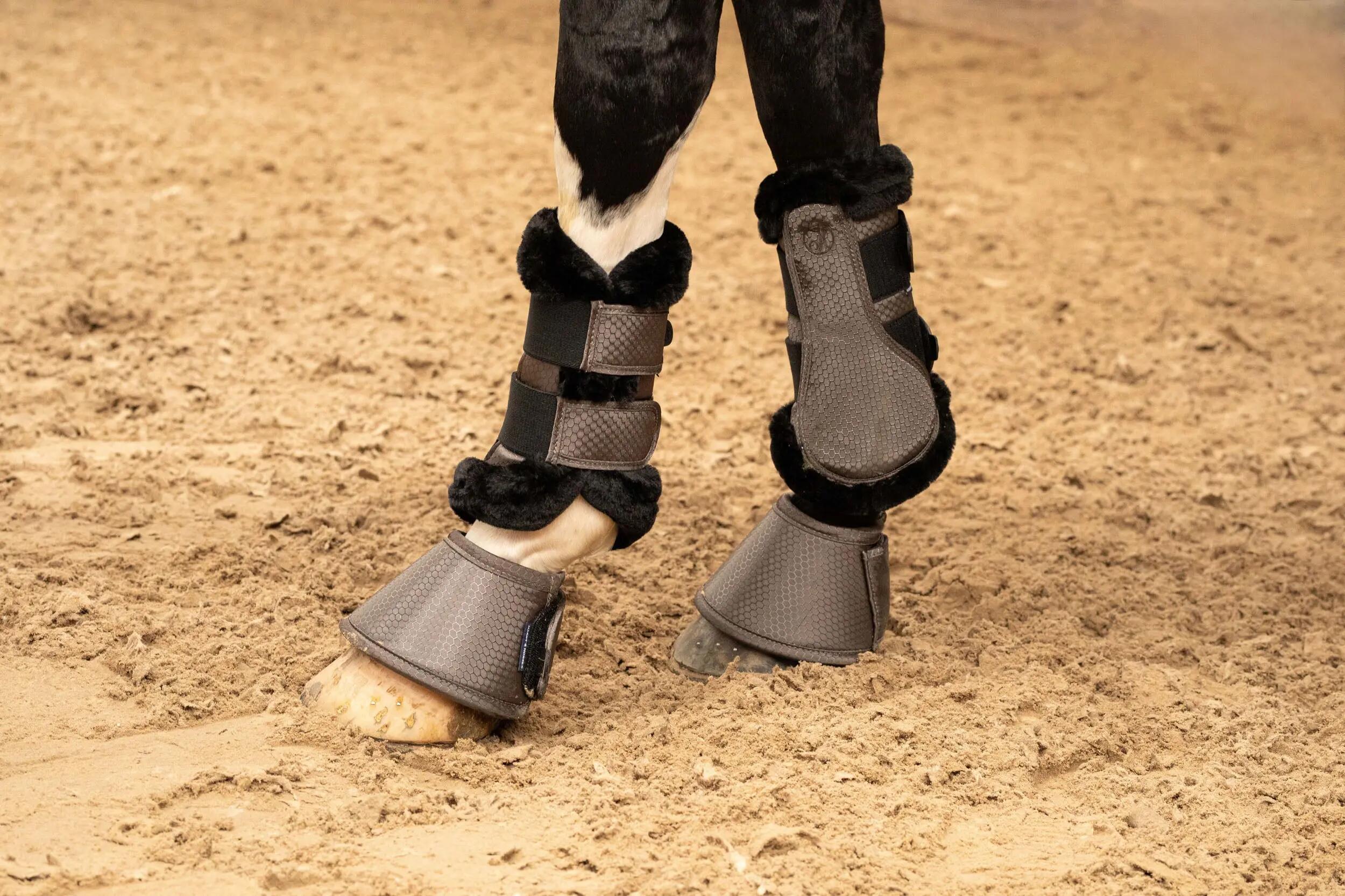 Ghette da cavallo chiusi Harry's Horse Flextrainer Hexagon 5/7
