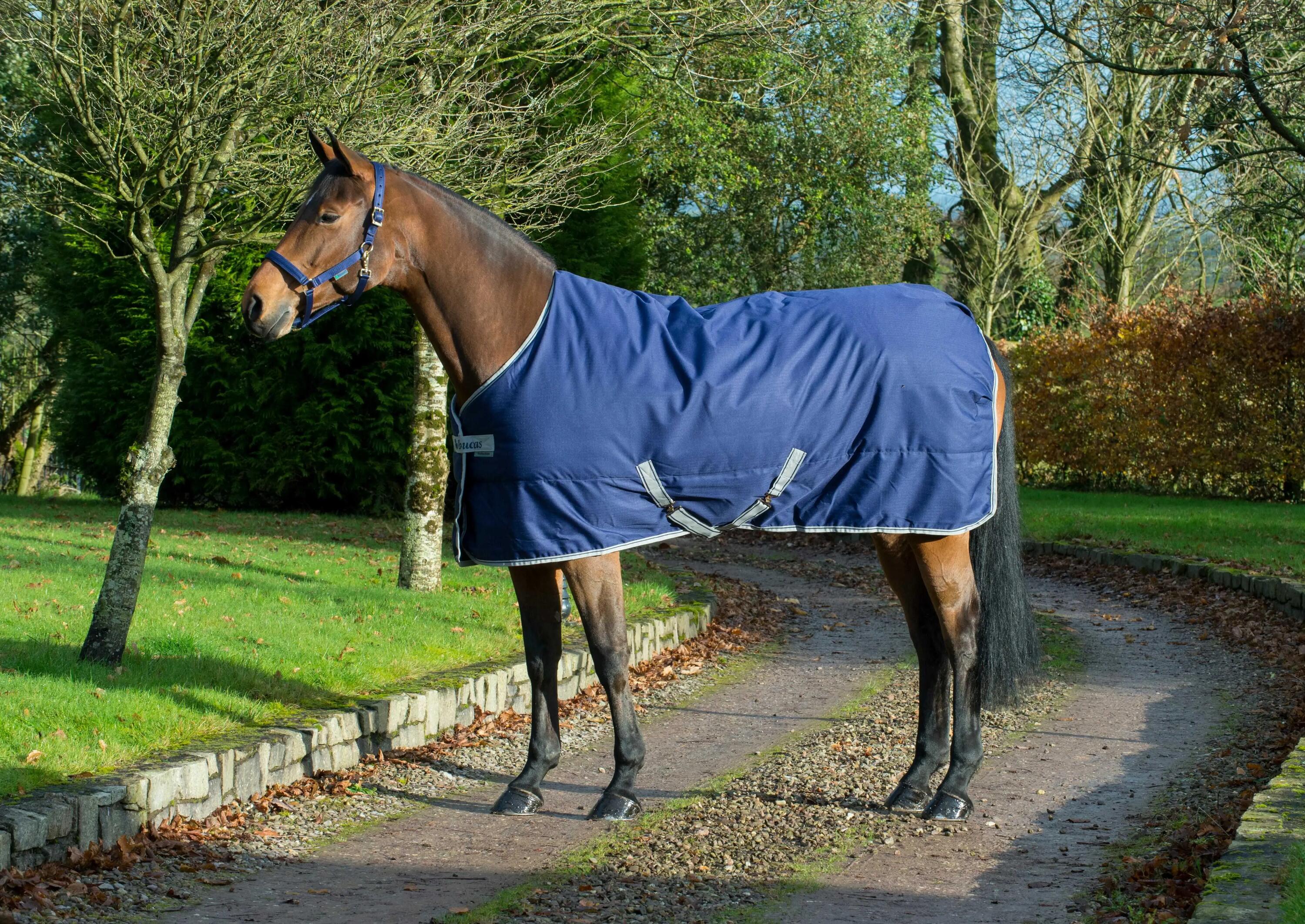Bucas Freedom Staldeken 150 3/12