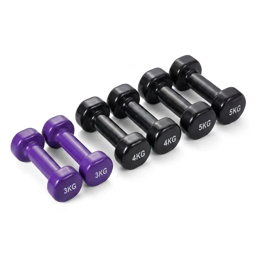 SCHWARZ / violett