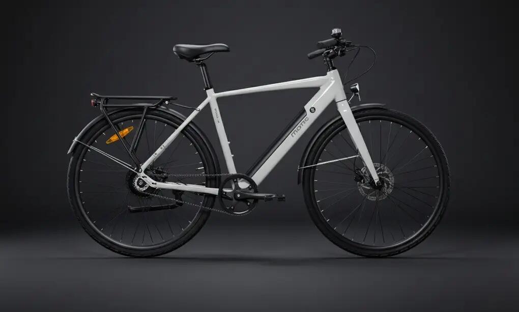Urbanes Fahrrad, Automatikschaltung mit Riemenantrieb, BAFANG DUAL Speed Motor 14/15