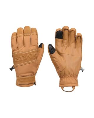 Snow/ski handschoenen squad glove schwarz heren