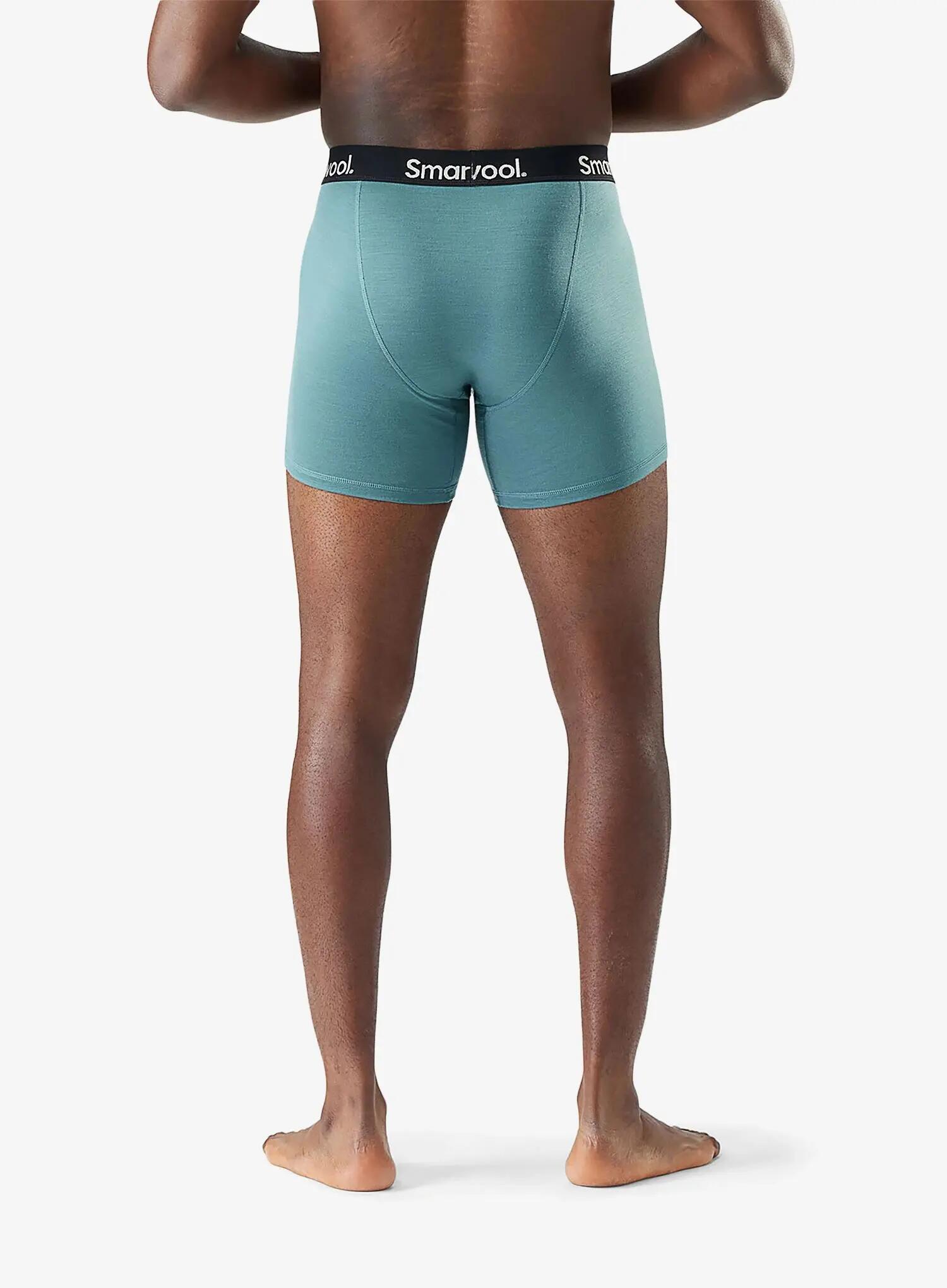 Bokserki termoaktywne Smartwool Everyday Merino Boxer Brief Boxed 2/2