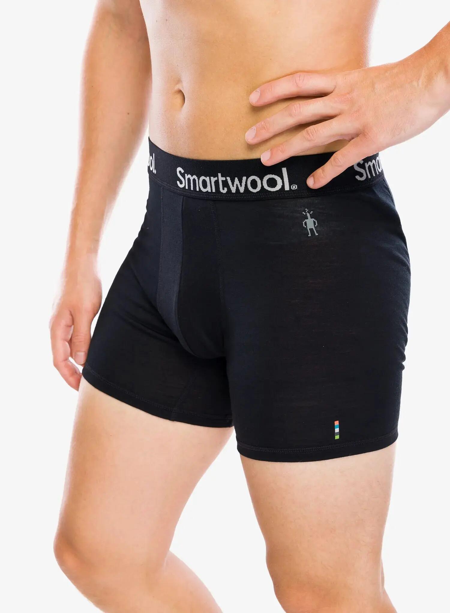 Bokserki termoaktywne Smartwool Everyday Merino Boxer Brief Boxed 5/5