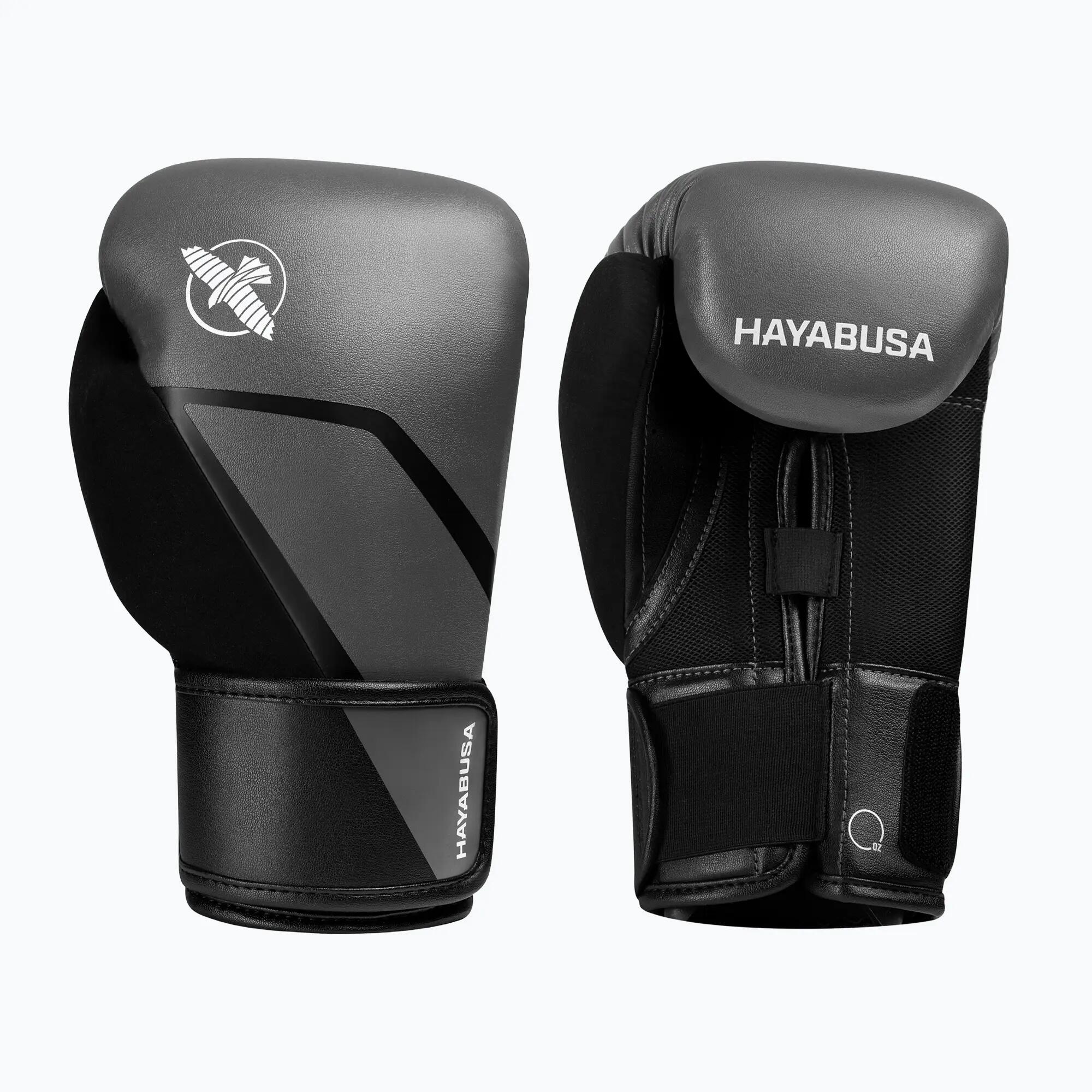 HAYABUSA picture