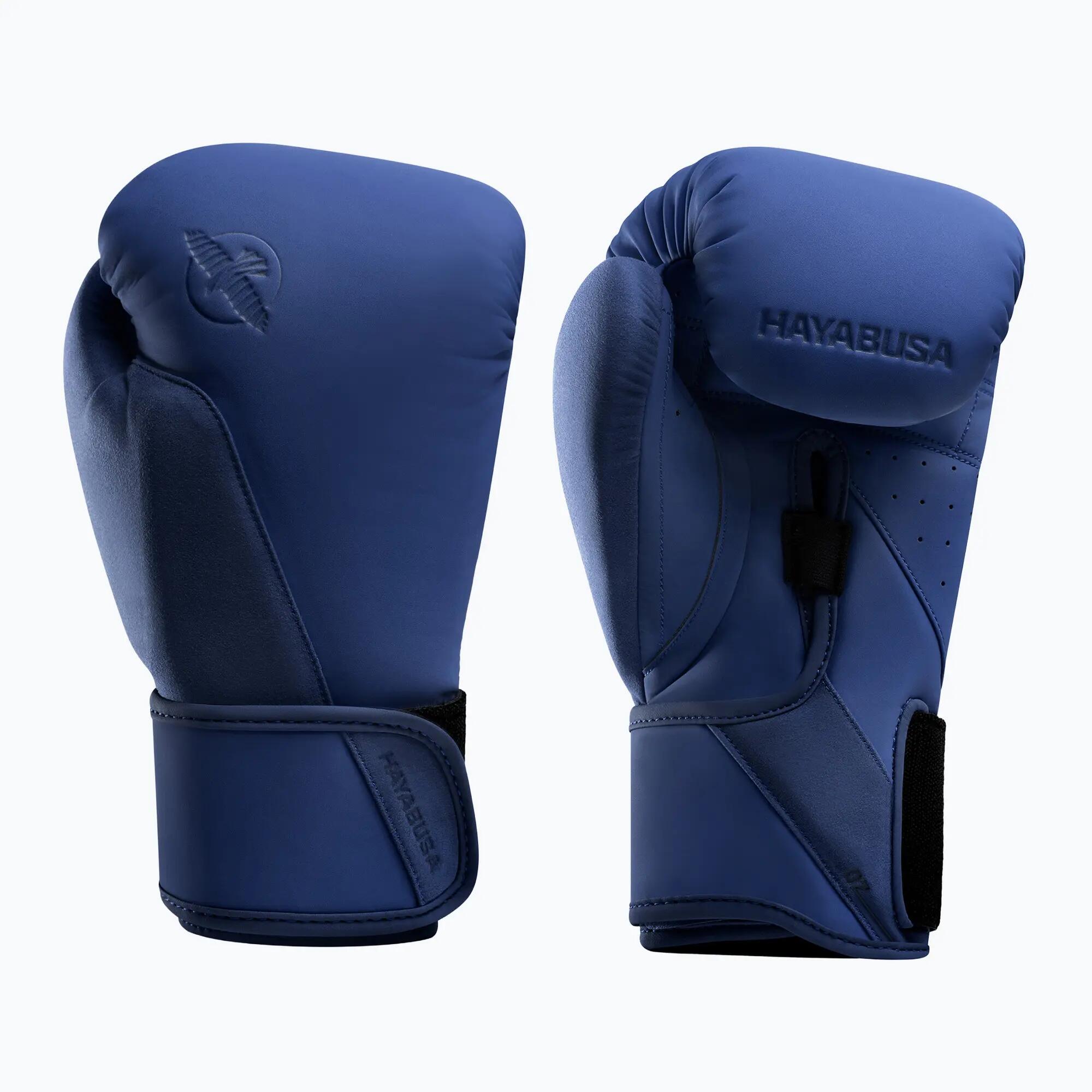 HAYABUSA picture