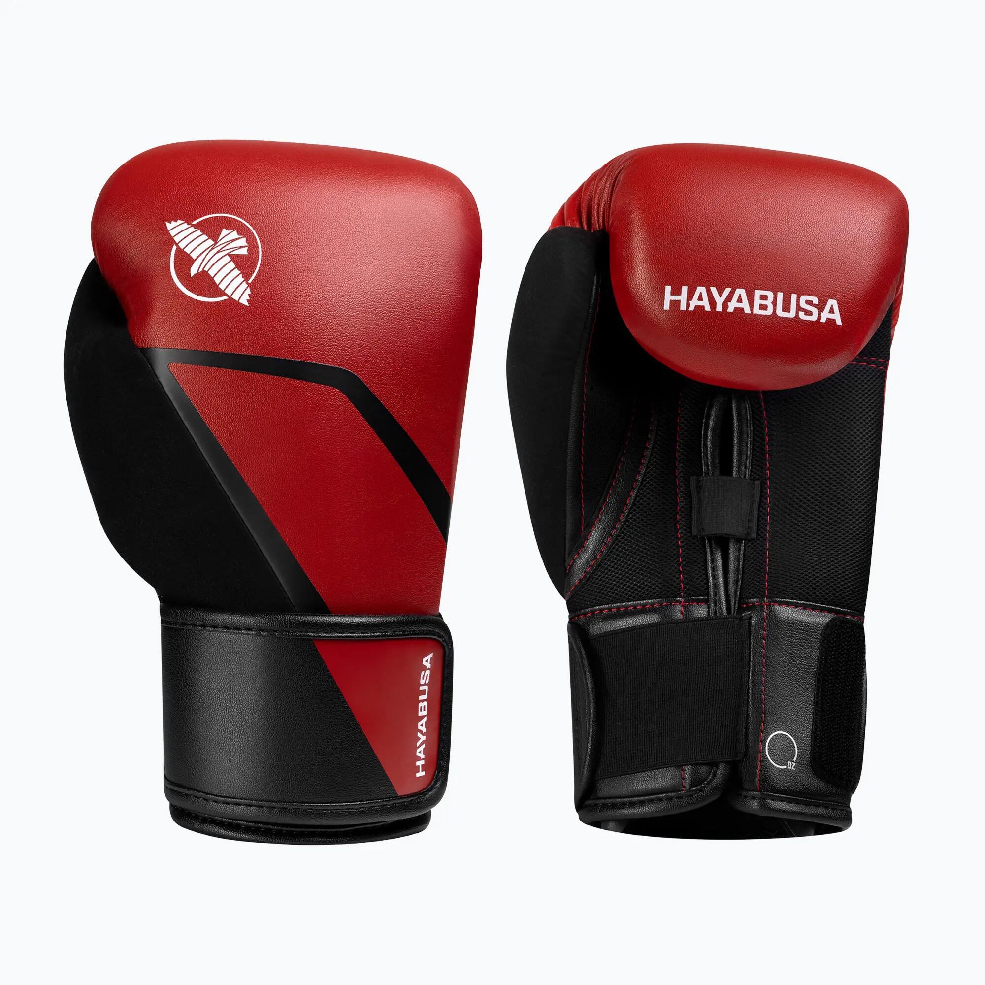 HAYABUSA picture