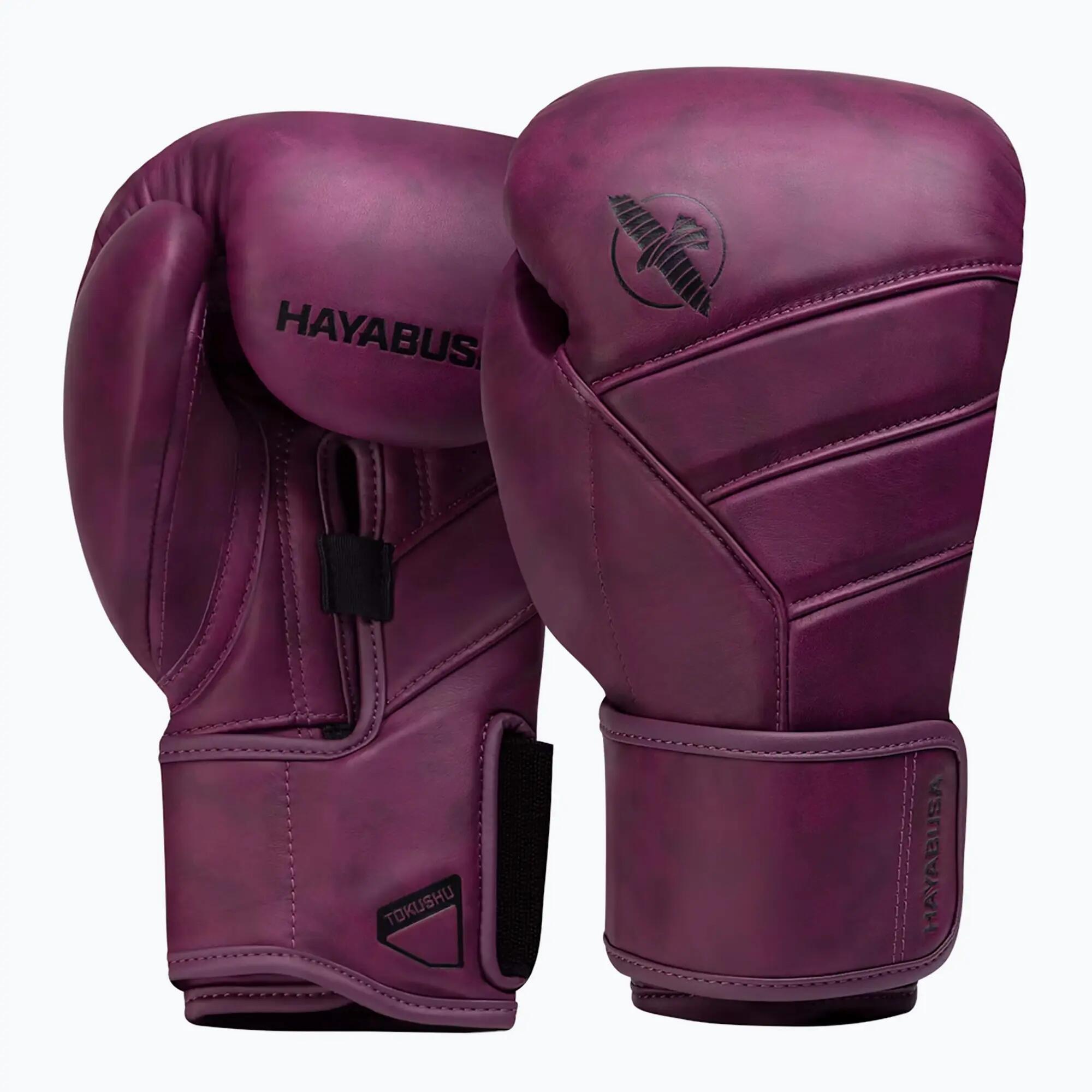 HAYABUSA picture