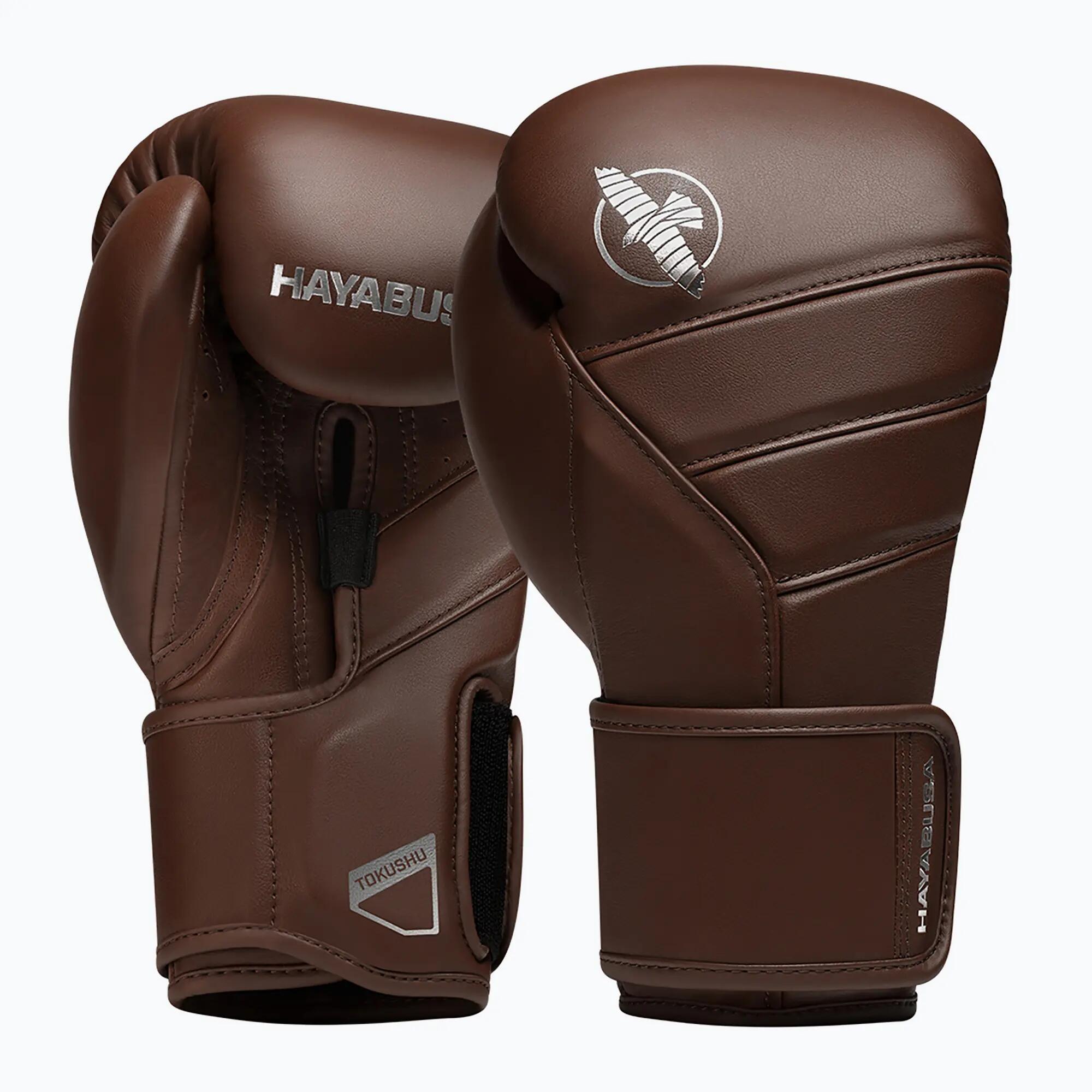 HAYABUSA picture