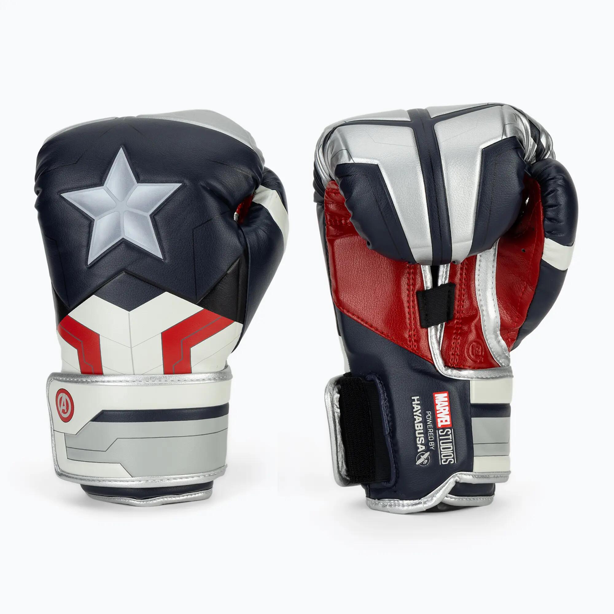 HAYABUSA picture