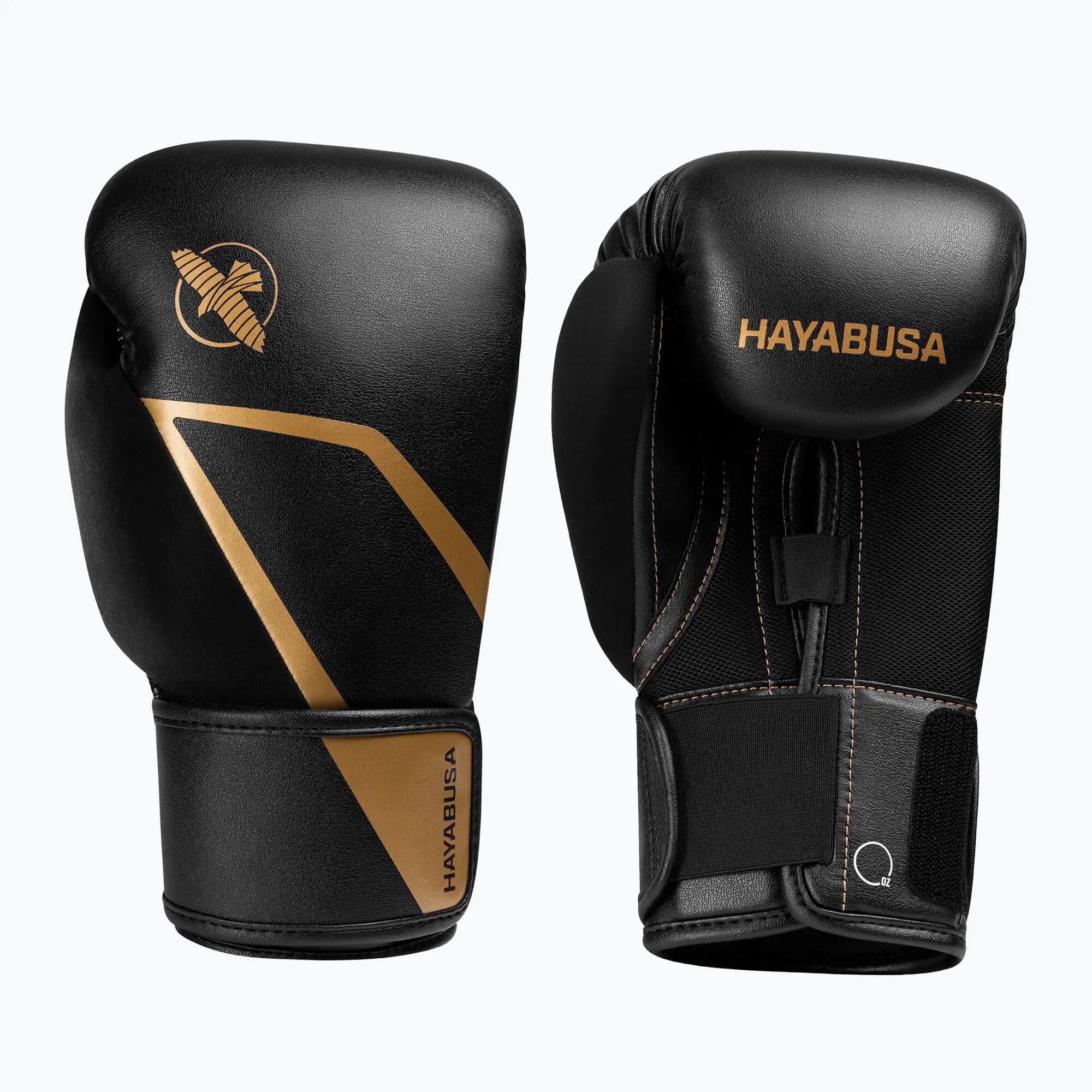 HAYABUSA picture