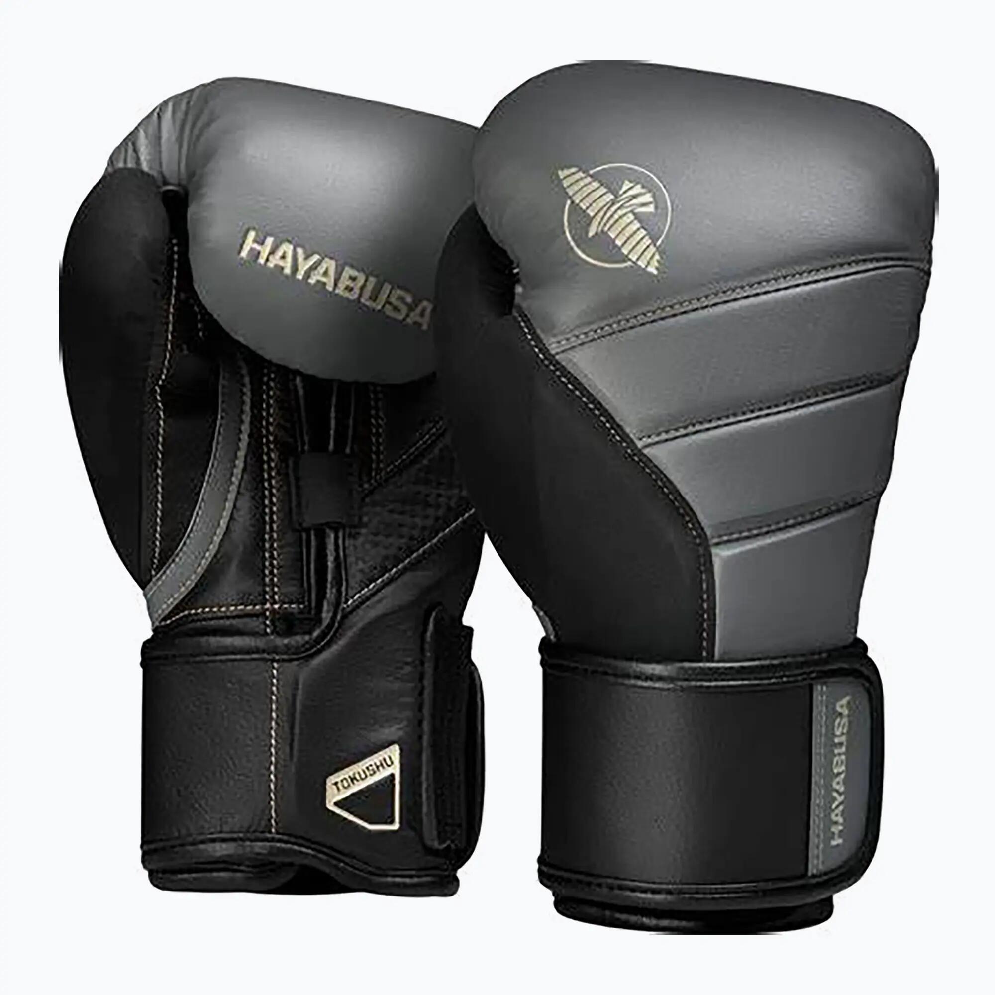 HAYABUSA picture