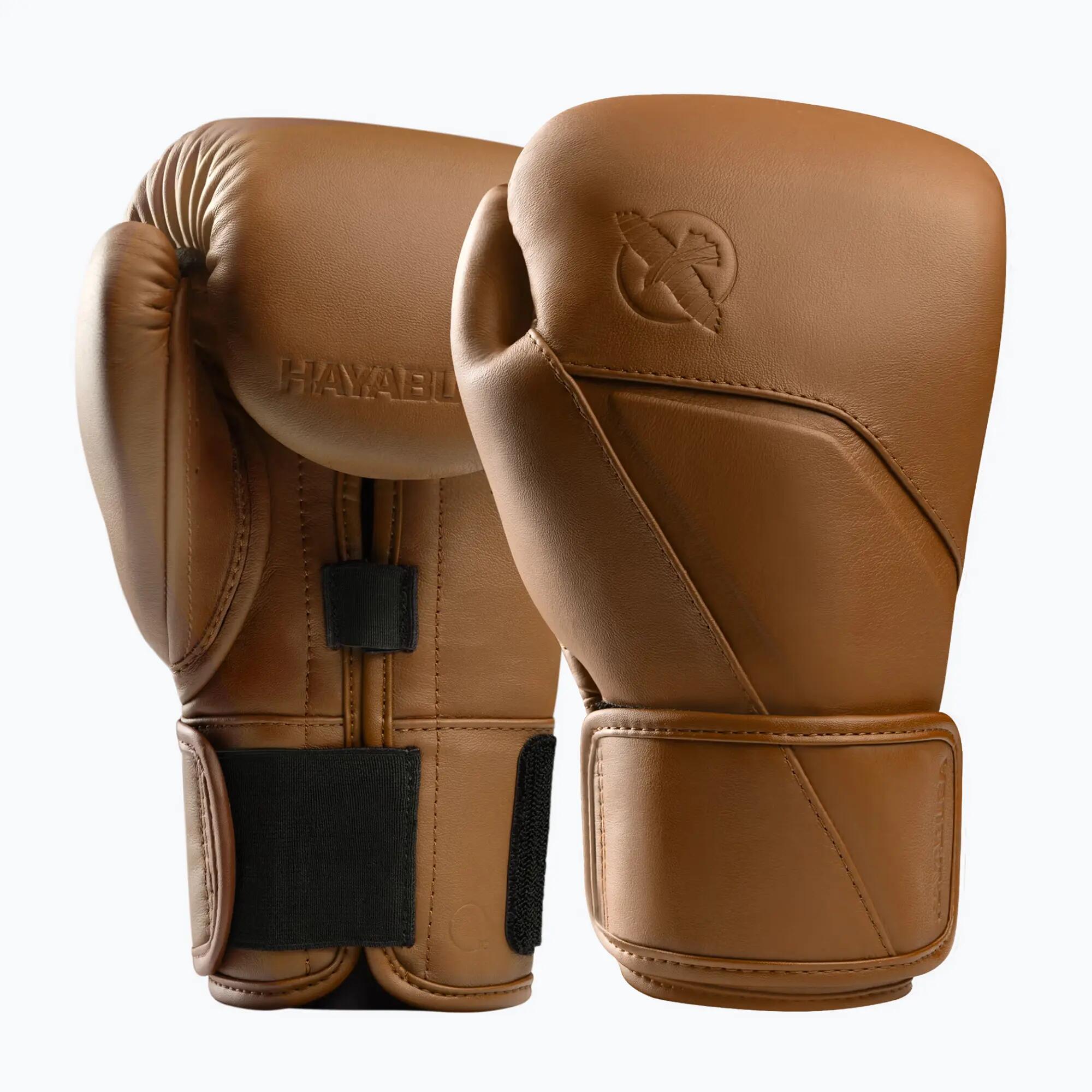 HAYABUSA picture
