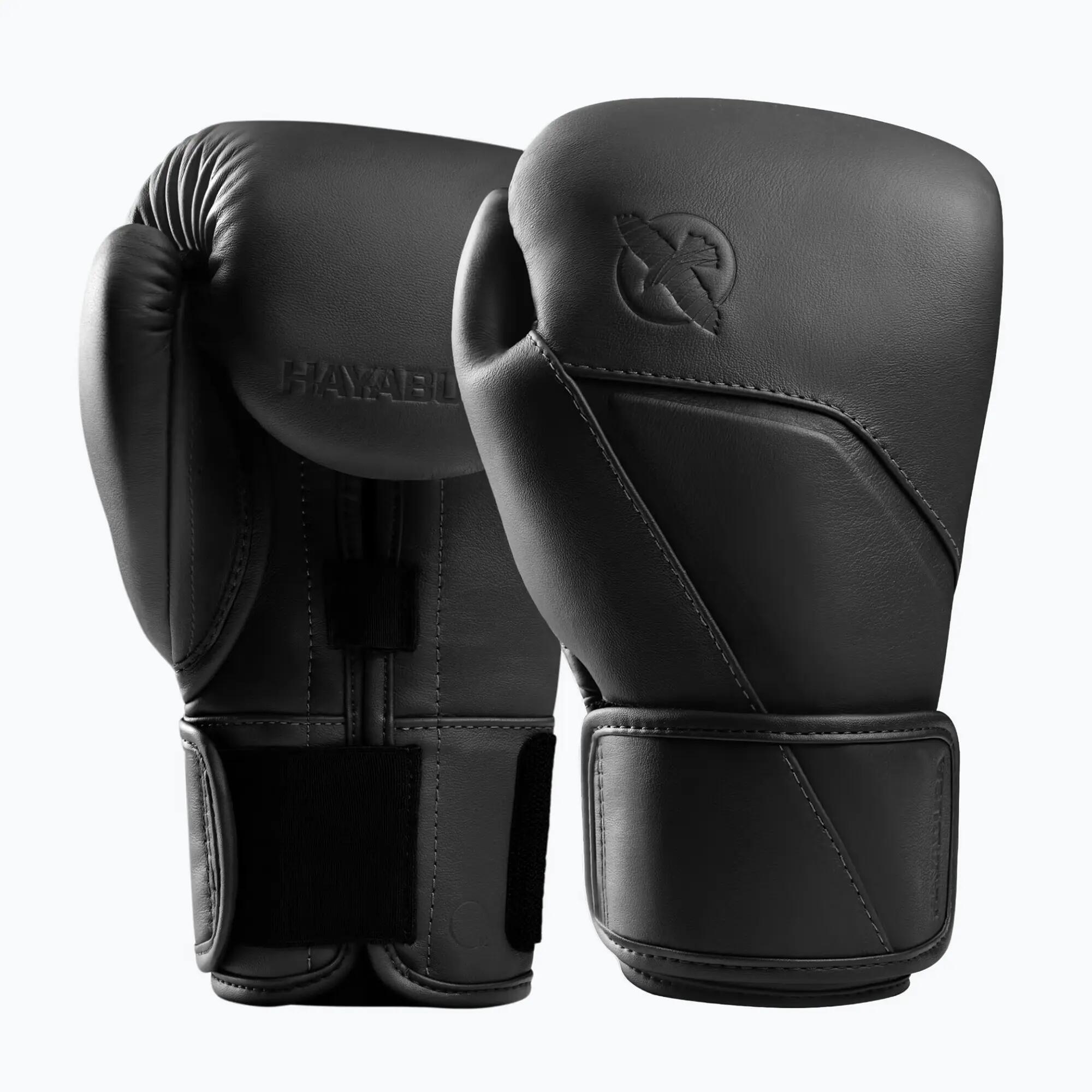 HAYABUSA picture
