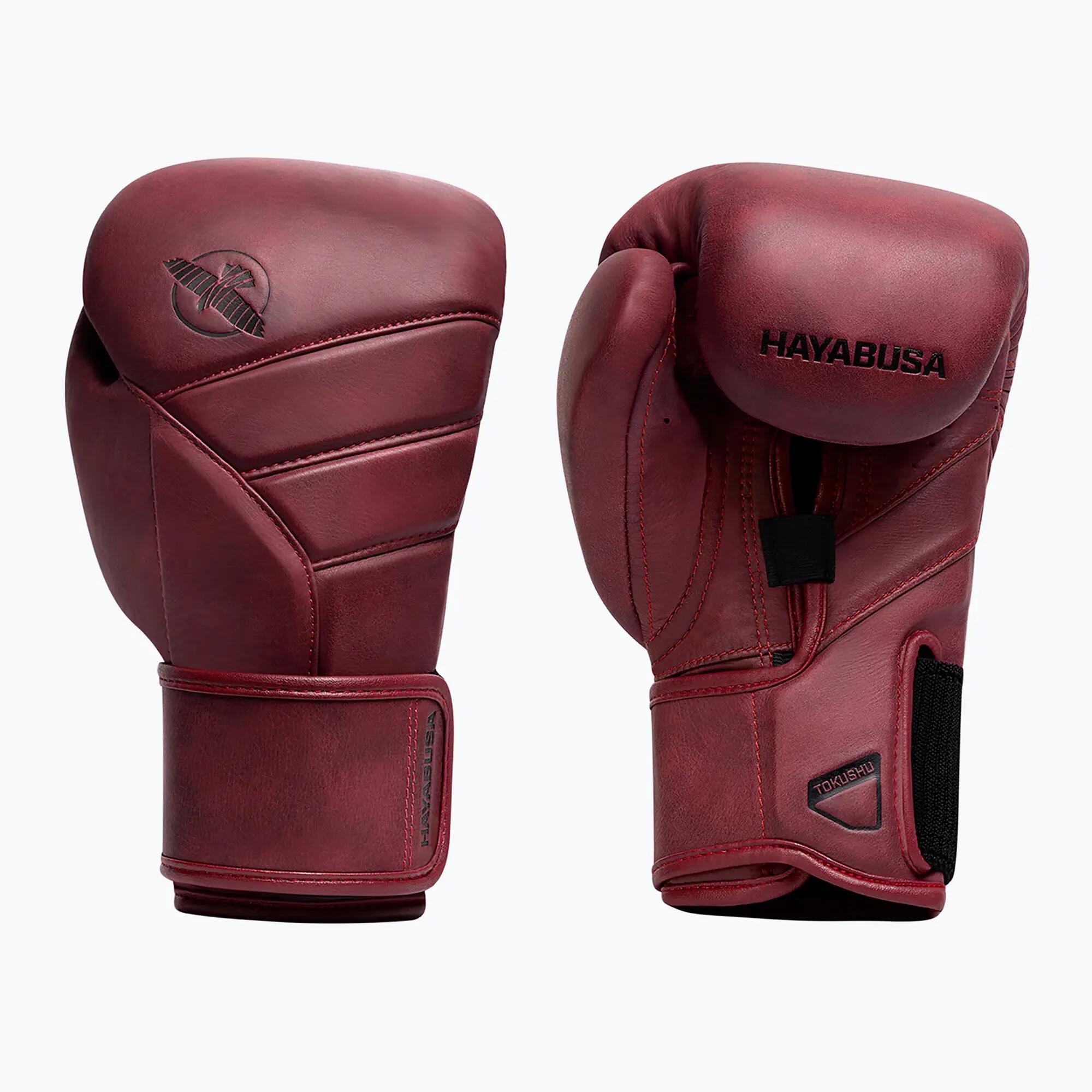 HAYABUSA picture