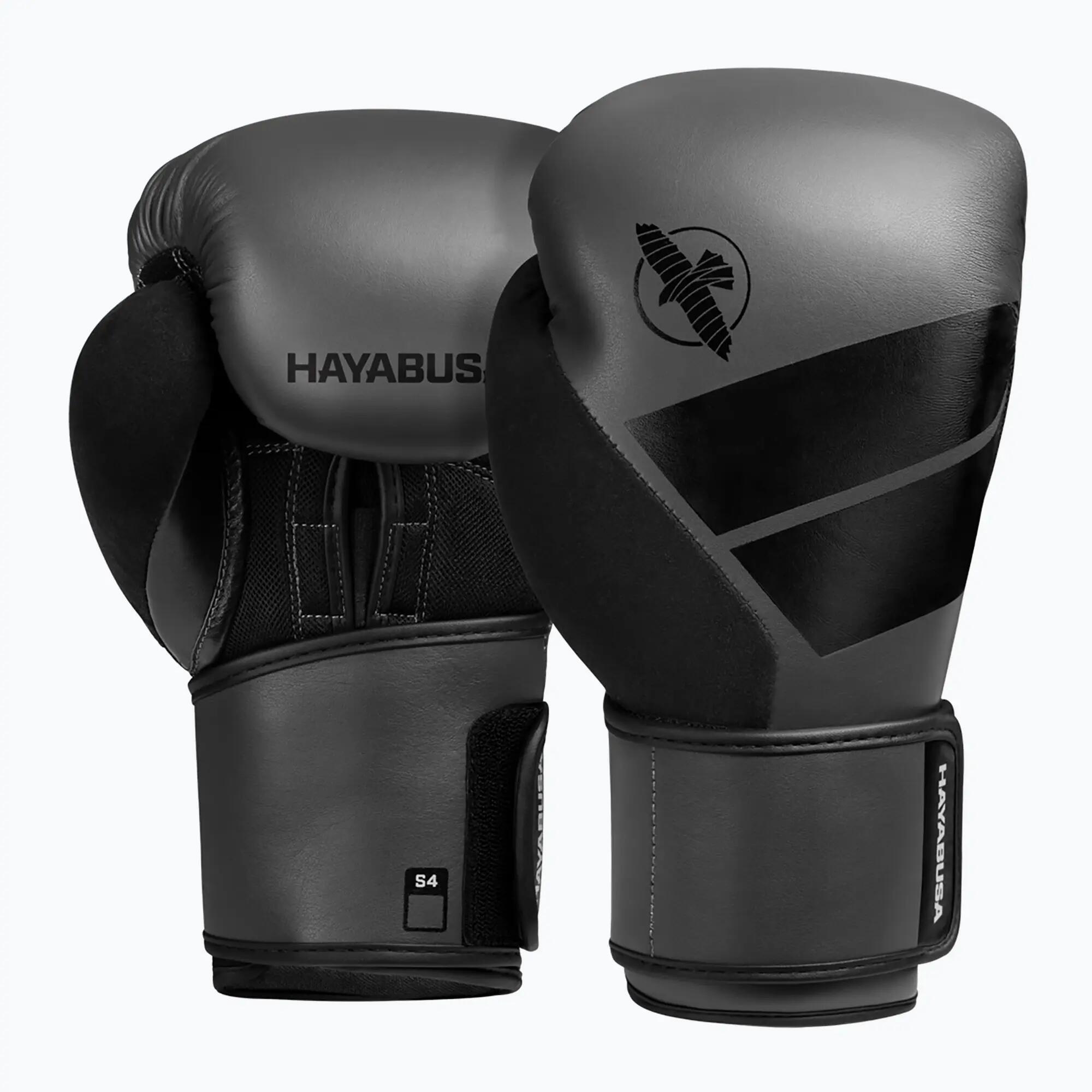HAYABUSA picture