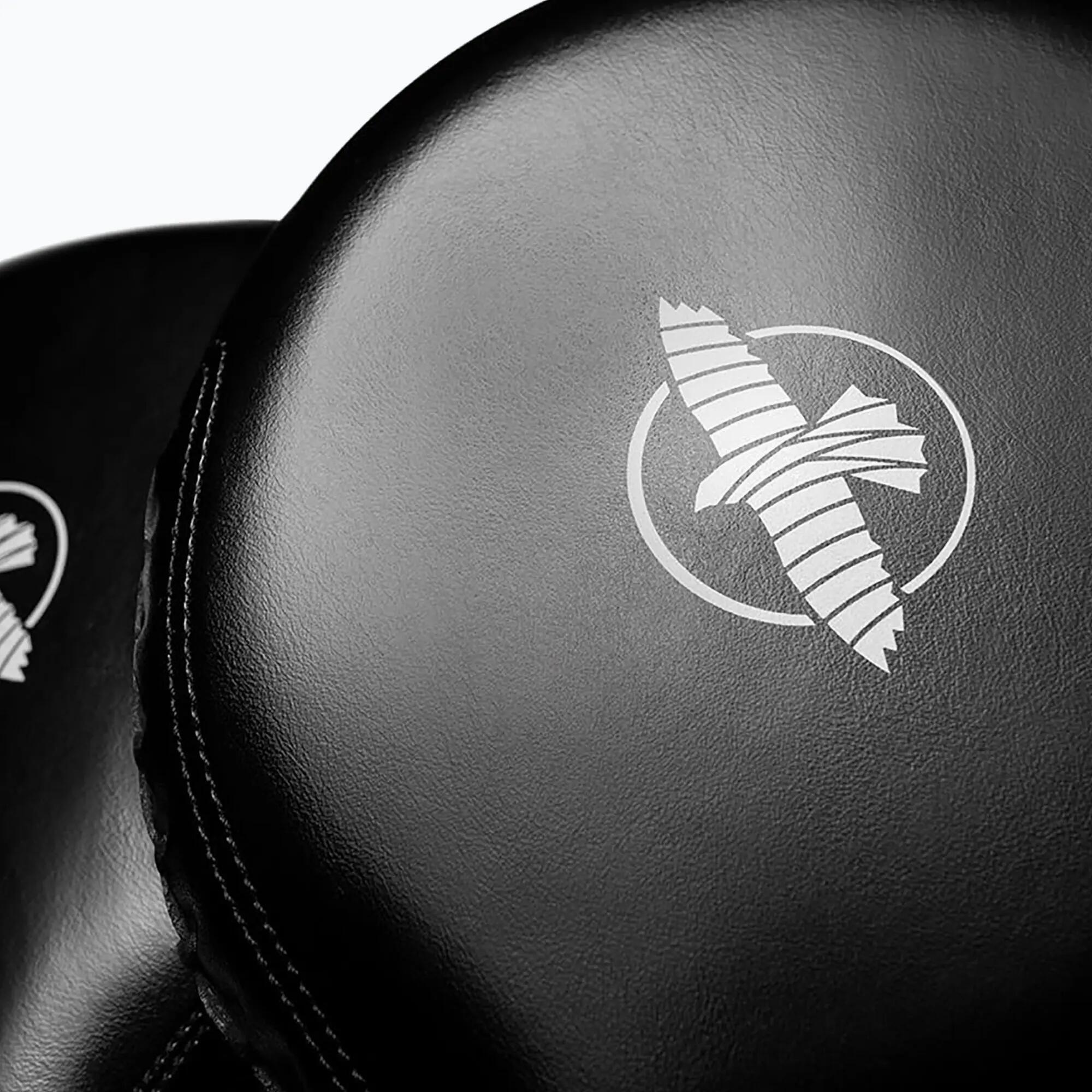 Guanti da allenamento per allenatori Hayabusa Target Paddles 2 4/6