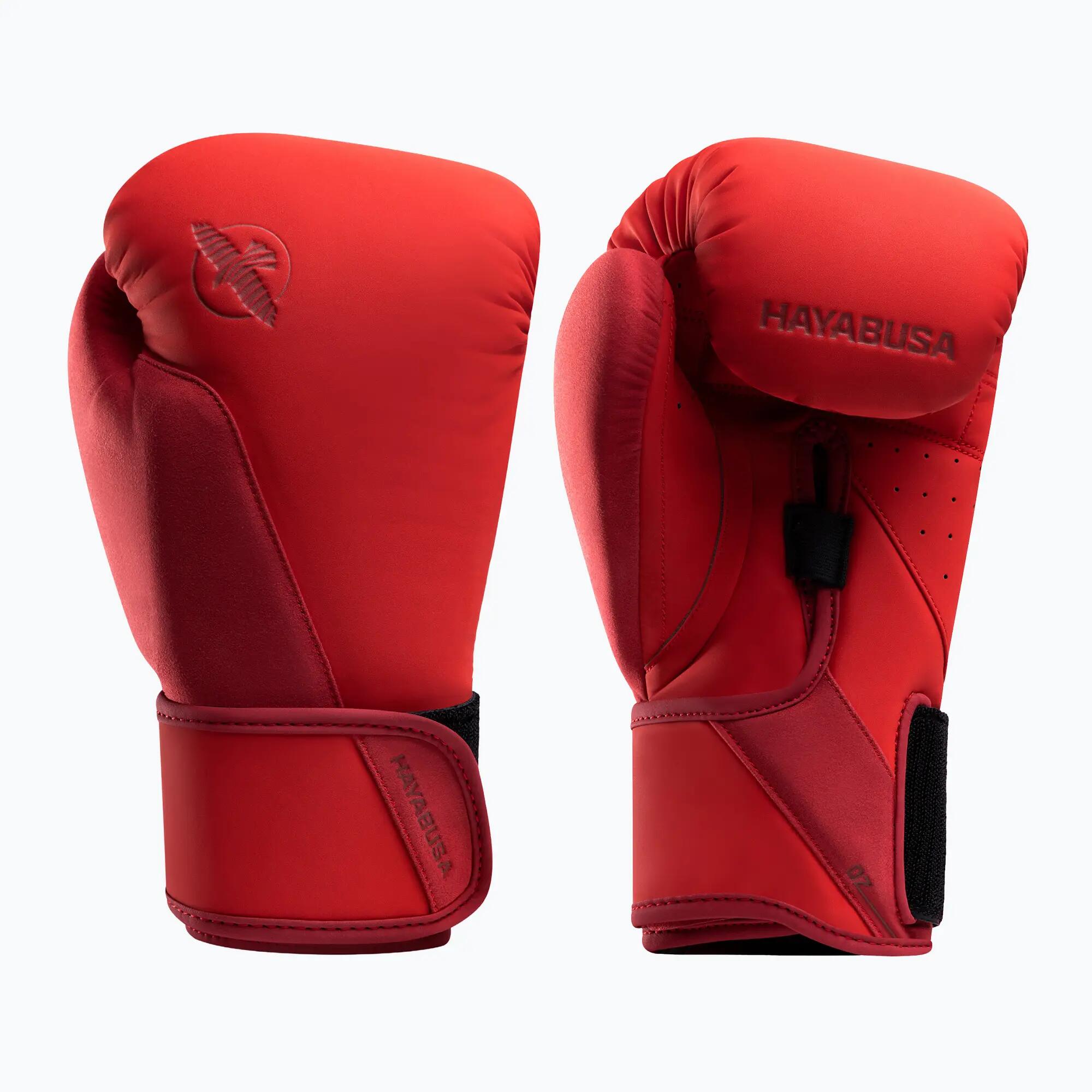 HAYABUSA picture