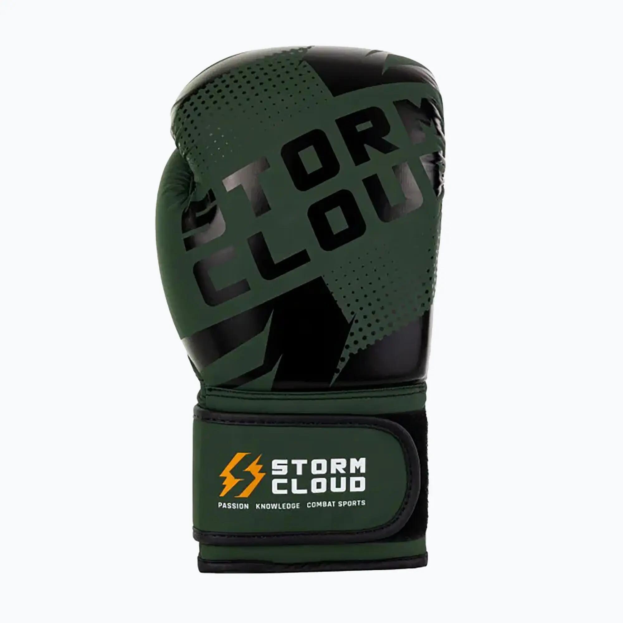 Gants de boxe StormCloud Bolt 3.0 4/7