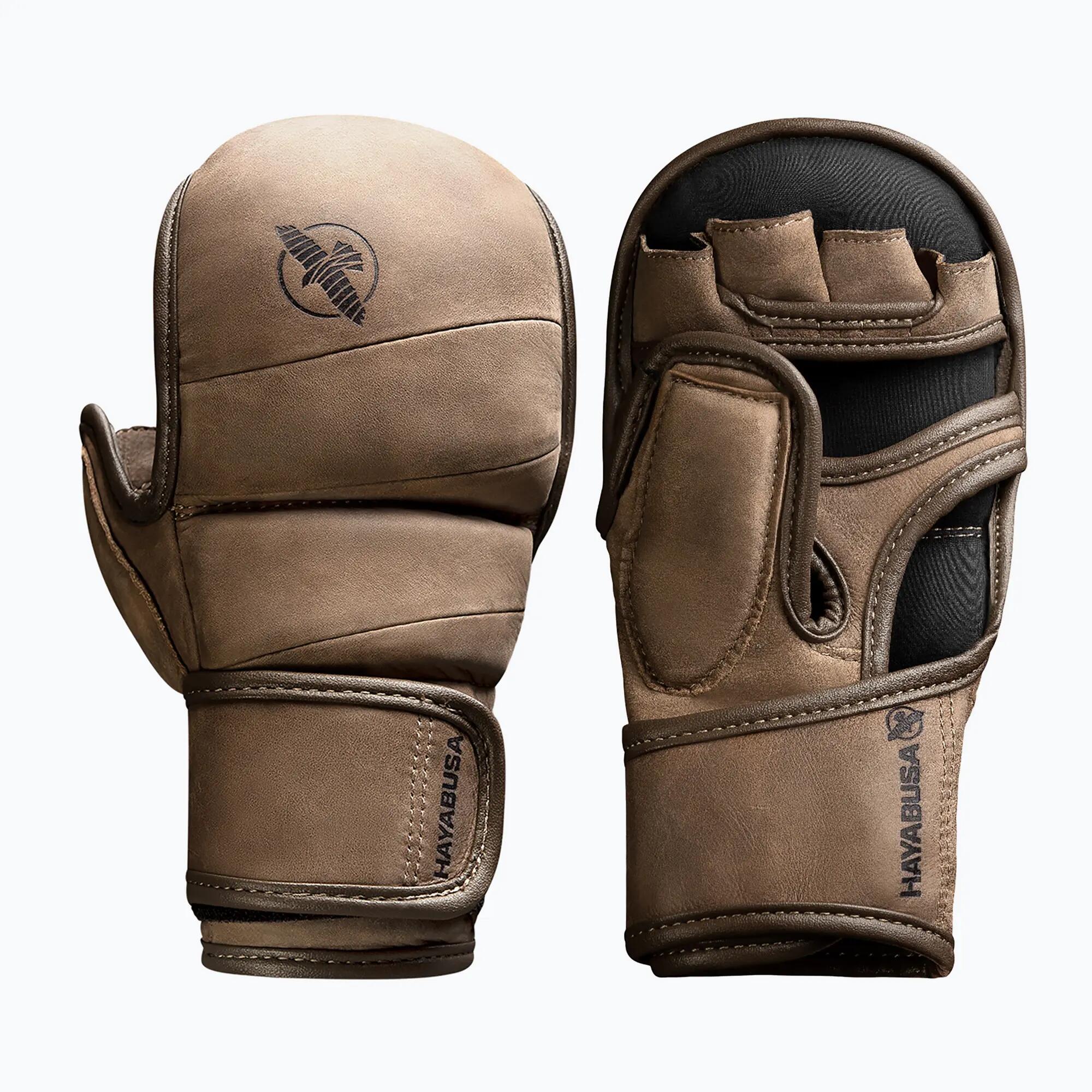 HAYABUSA picture