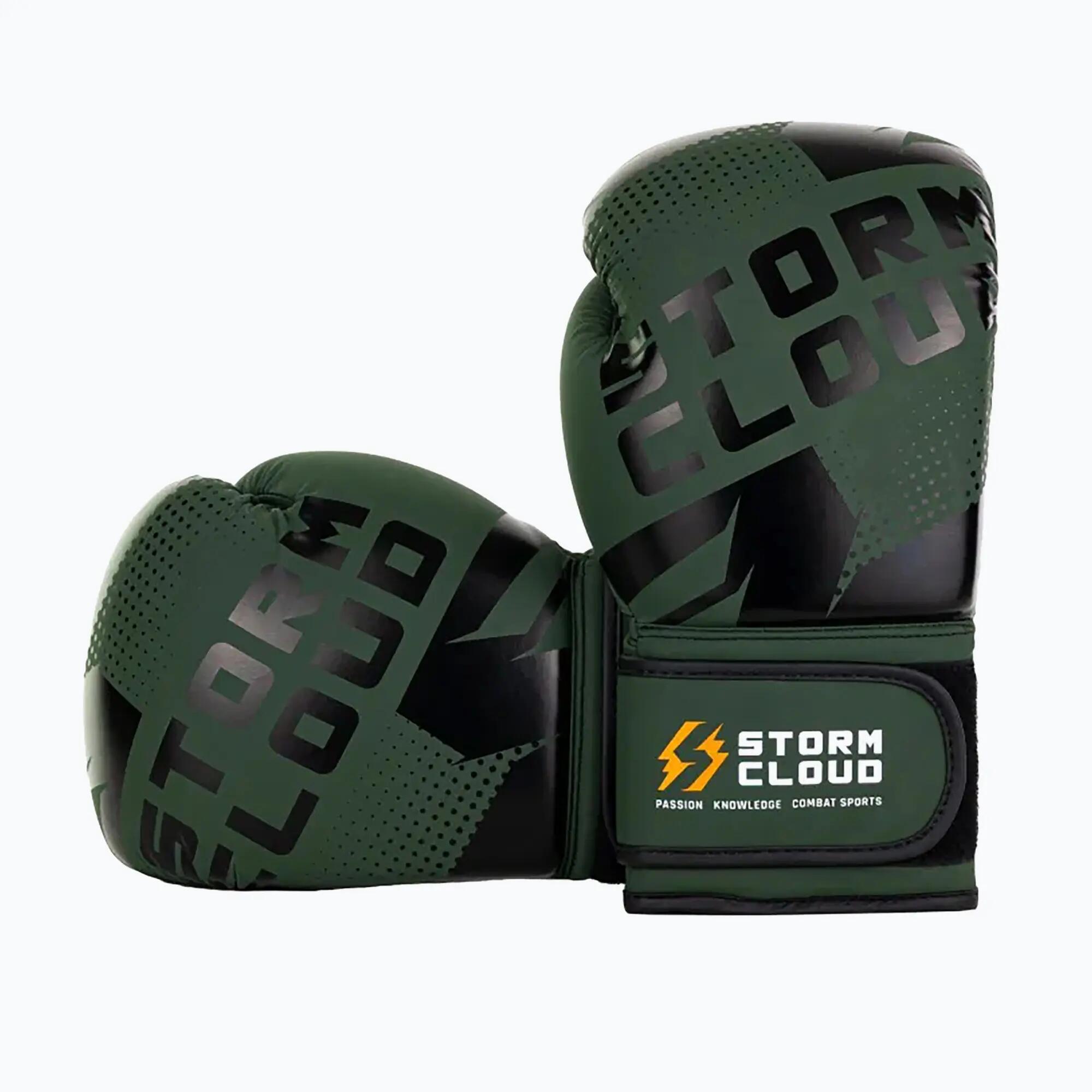 Gants de boxe StormCloud Bolt 3.0 3/7