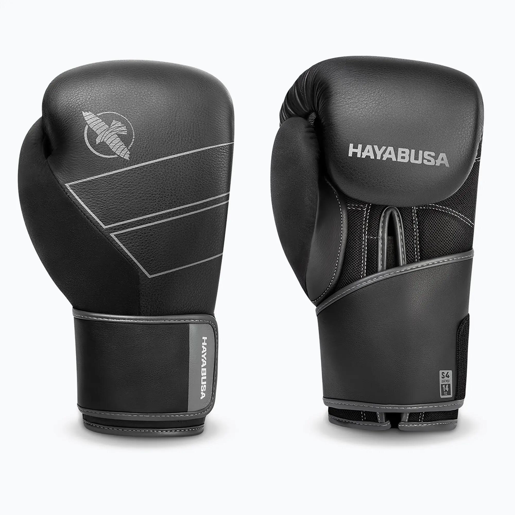 HAYABUSA picture