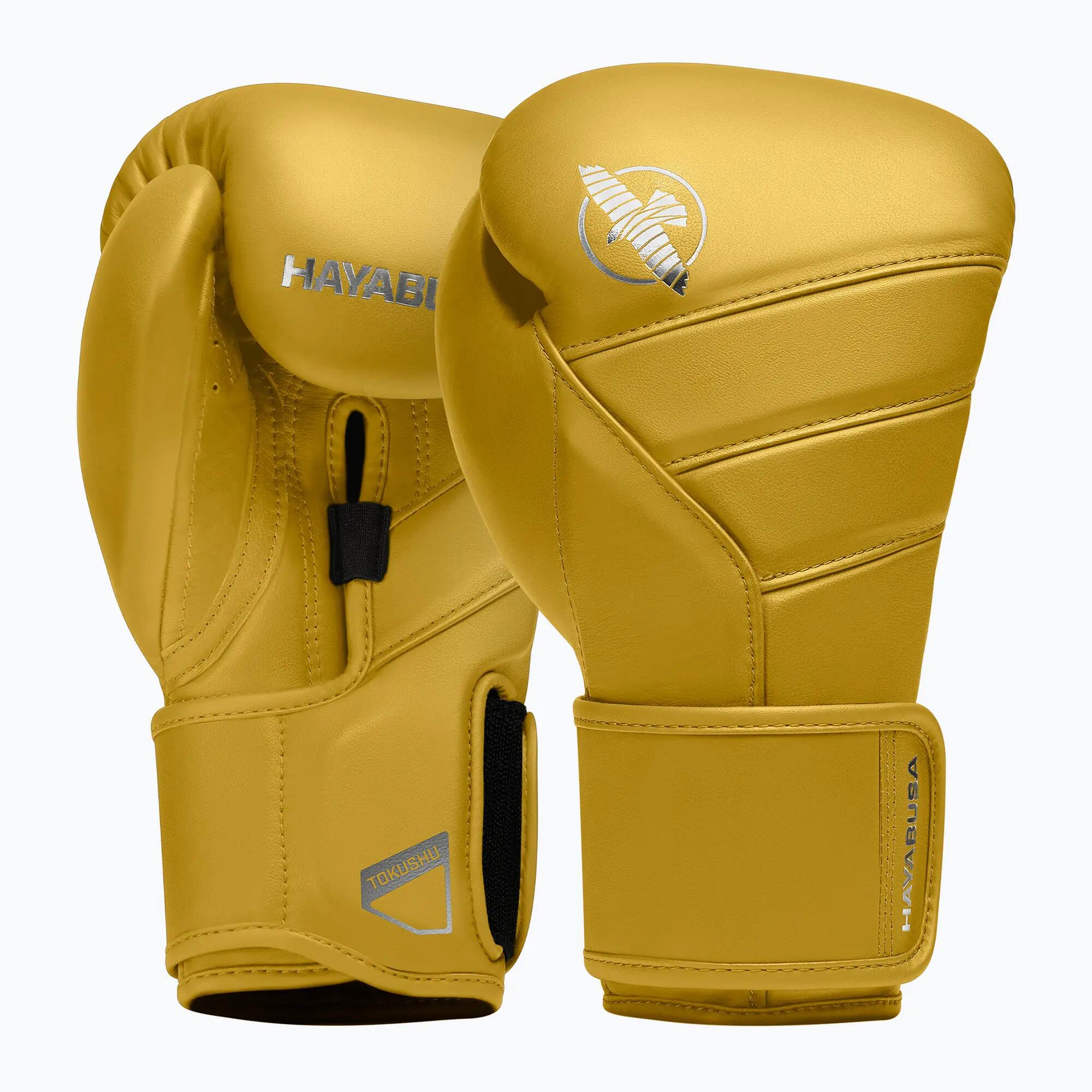 HAYABUSA picture