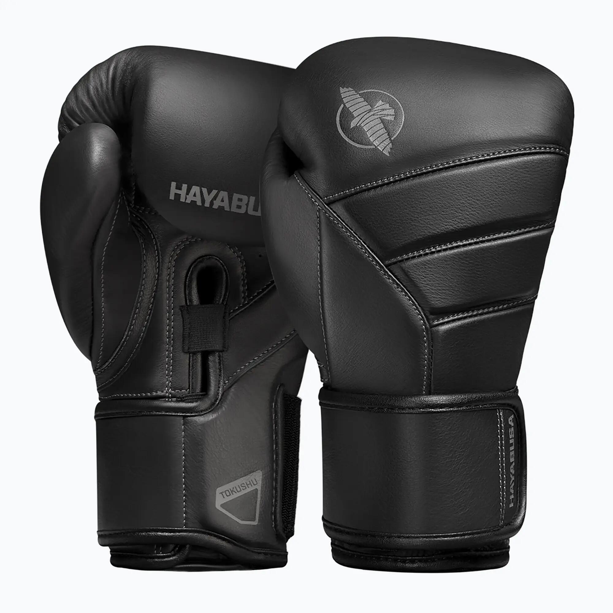 HAYABUSA picture