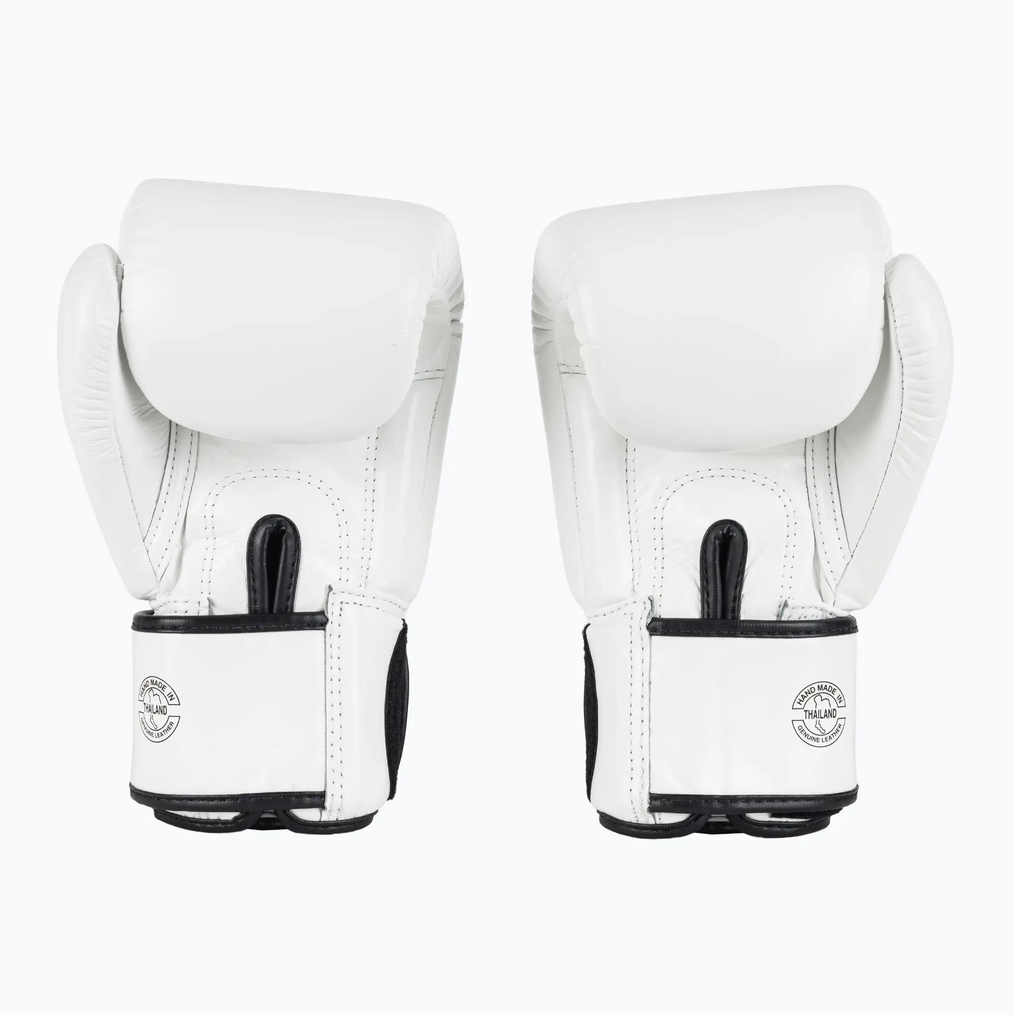Gants de boxe Fairtex ONE X Fairtex Boxing 3/7