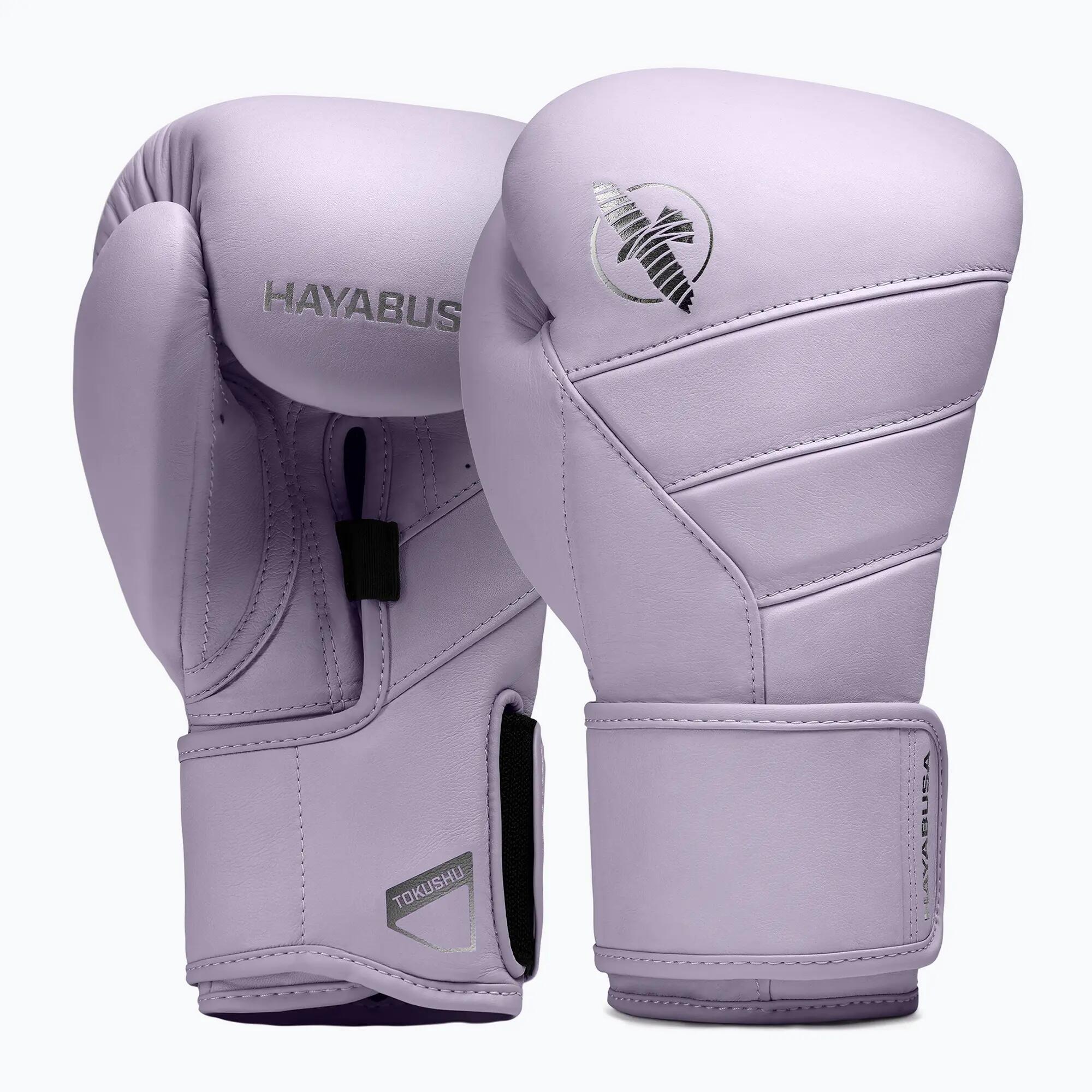 HAYABUSA picture
