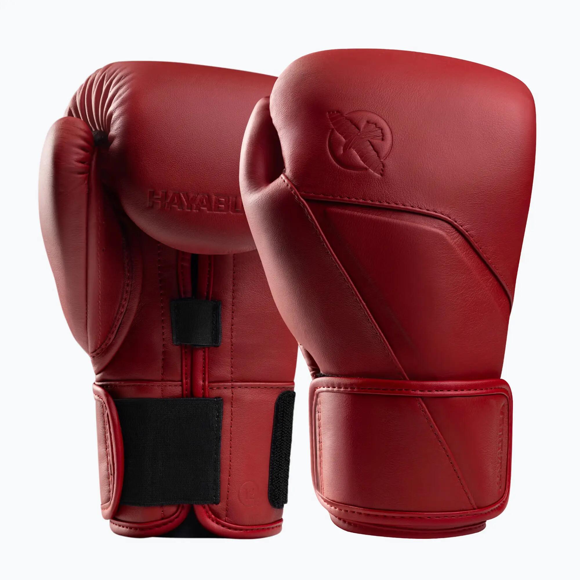 HAYABUSA picture