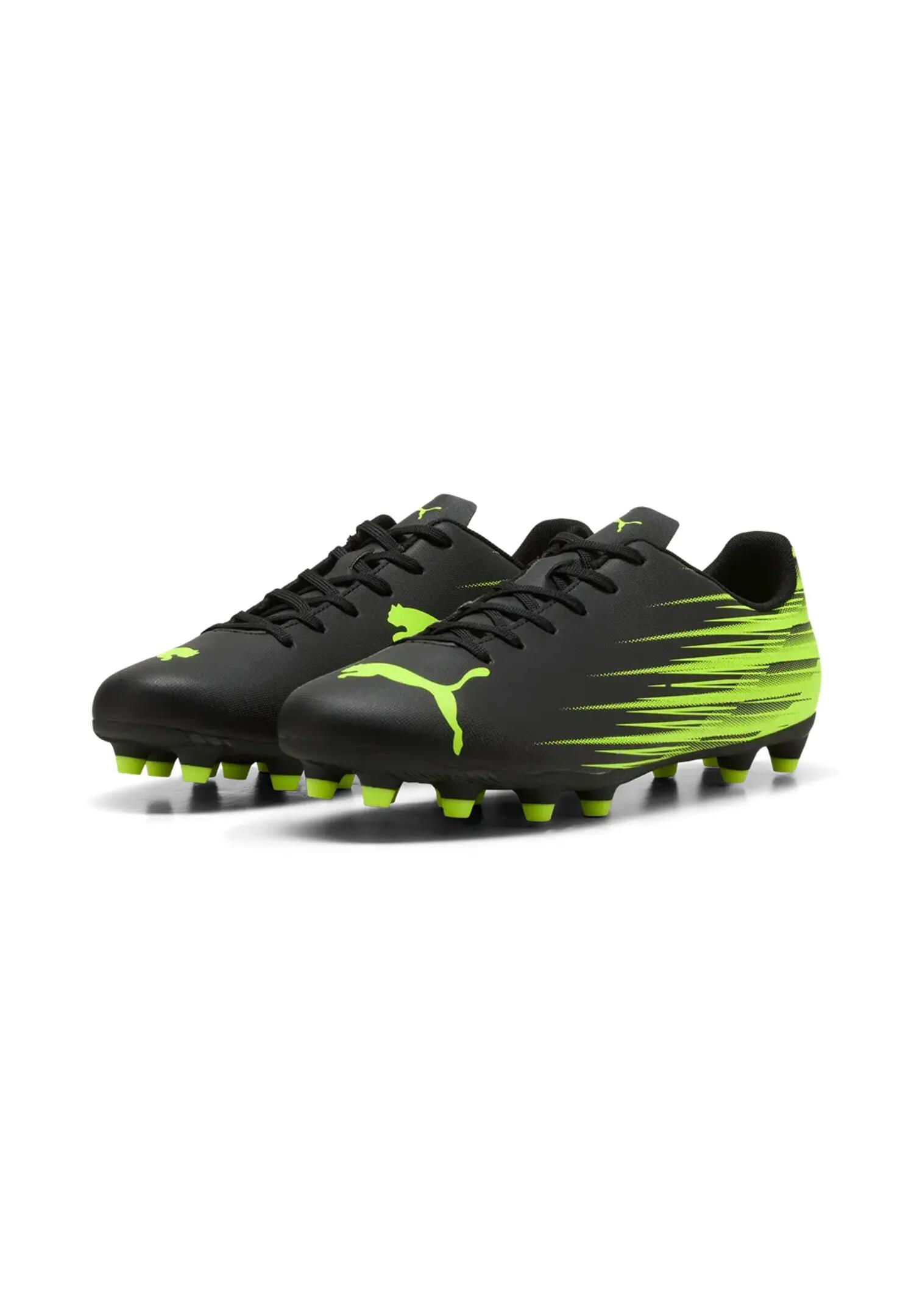 PUMA picture