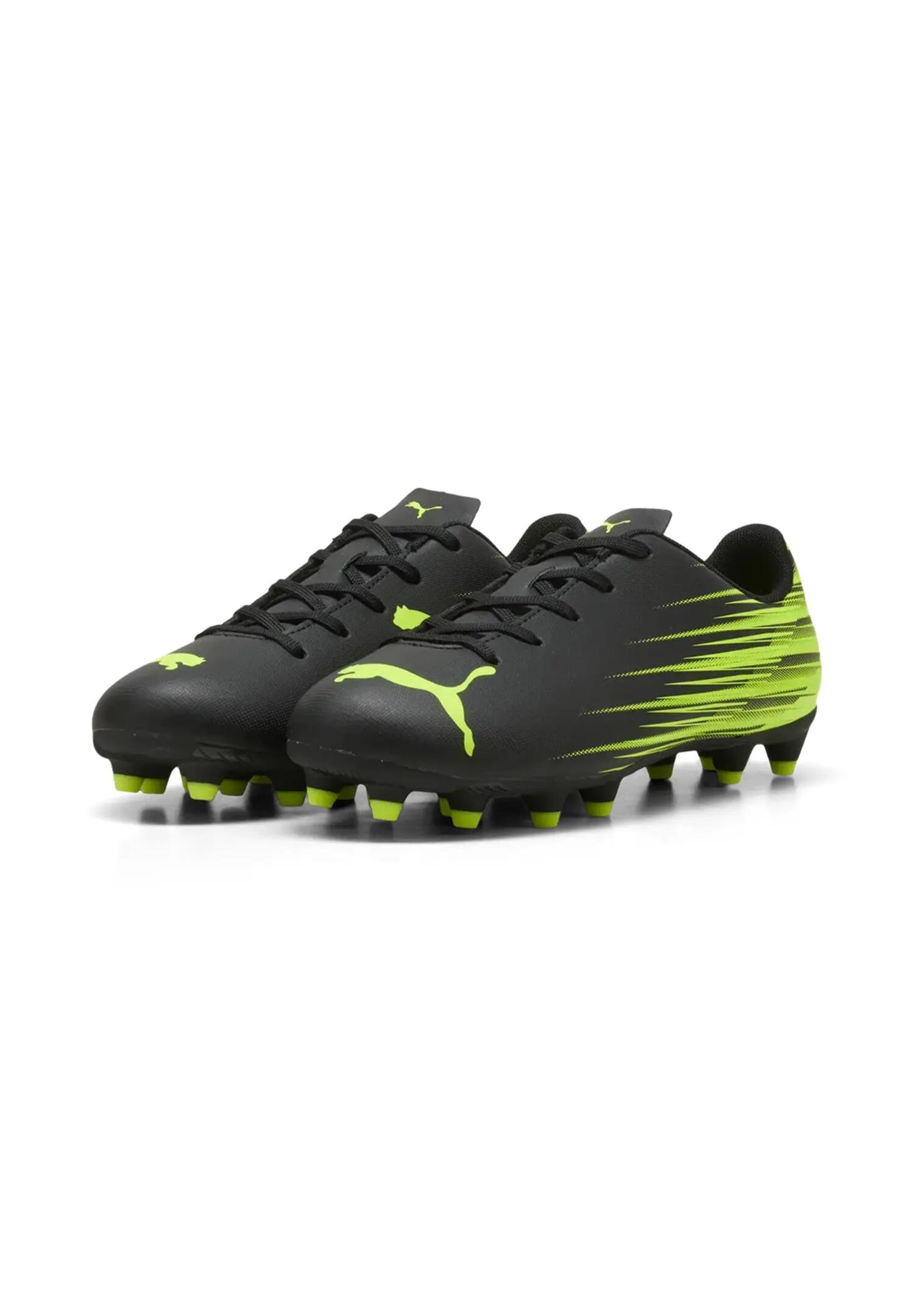PUMA picture