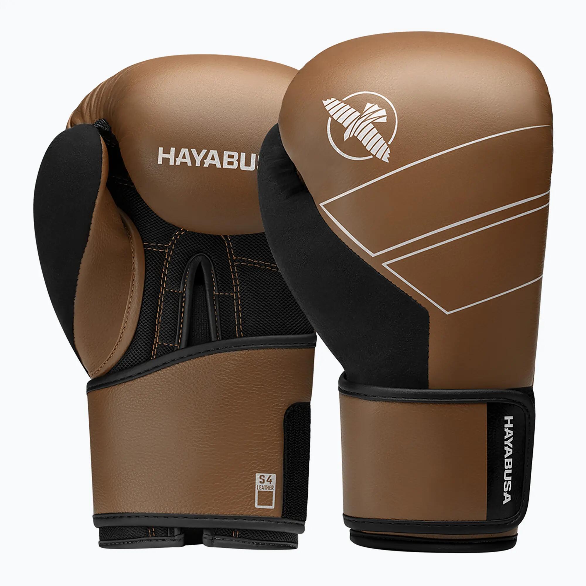 HAYABUSA picture