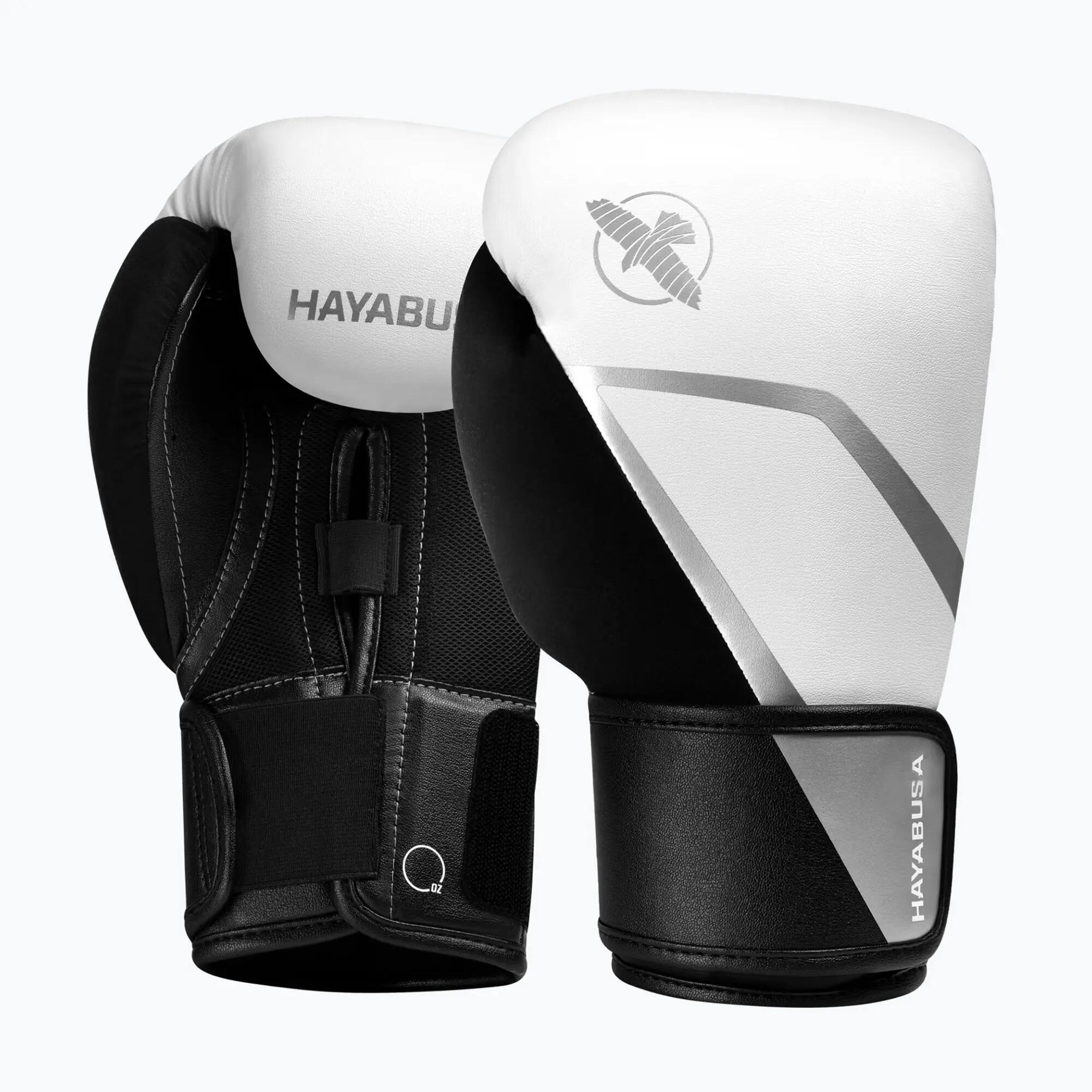 HAYABUSA picture