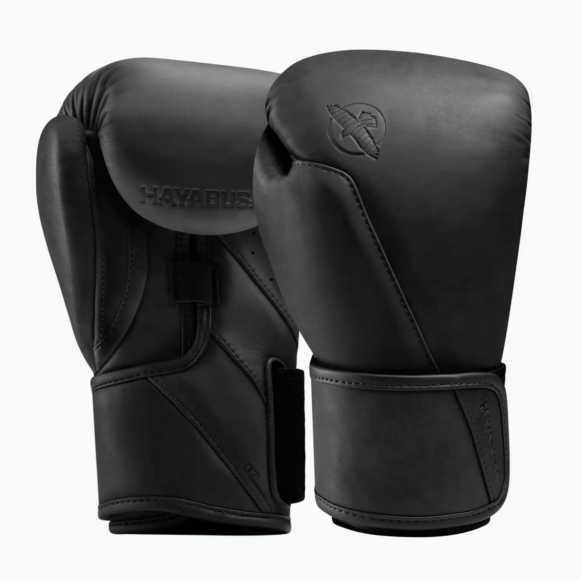 HAYABUSA picture