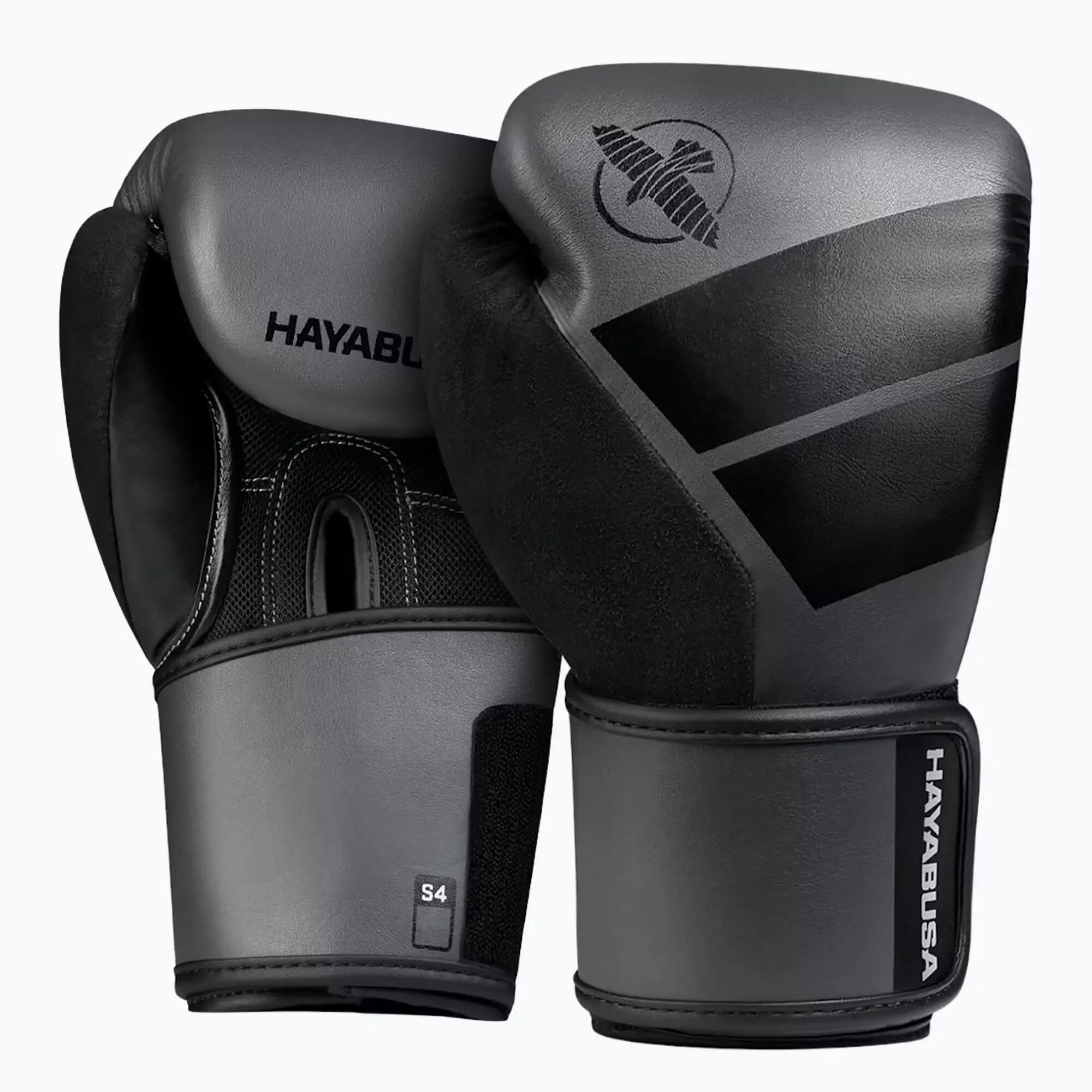 HAYABUSA picture