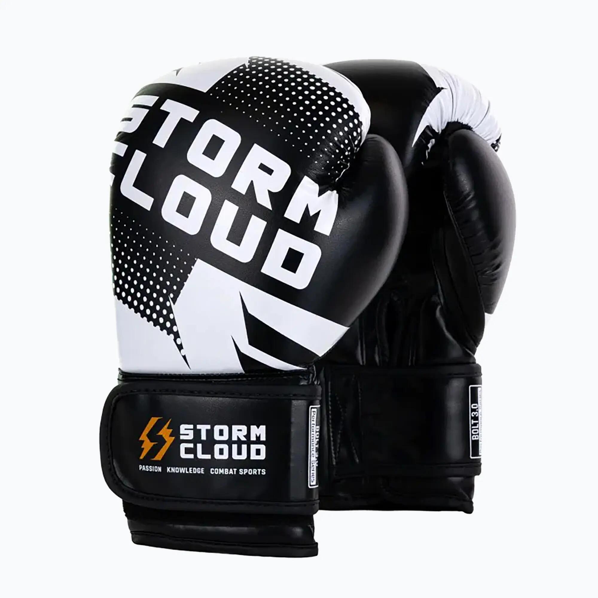 Gants de boxe StormCloud Bolt 3.0 2/7