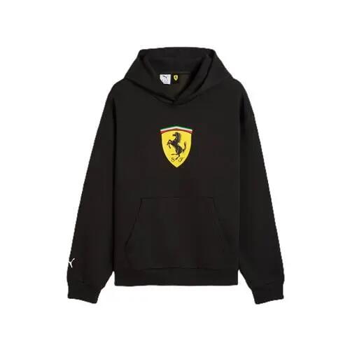 PUMA picture