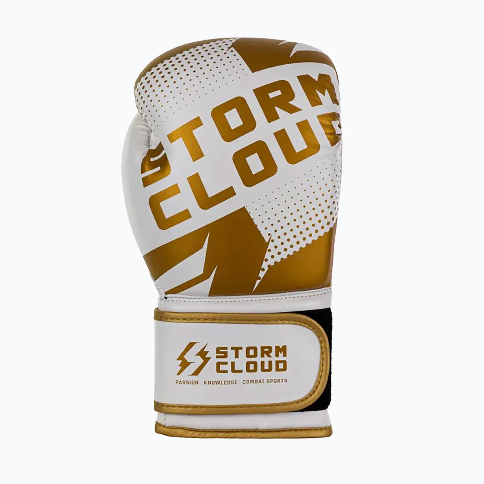 Guantes de boxeo StormCloud Bolt 3.0 4/7