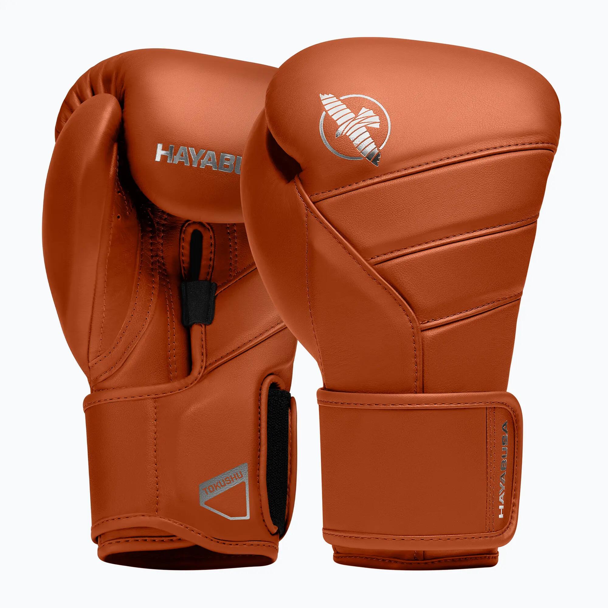 HAYABUSA picture