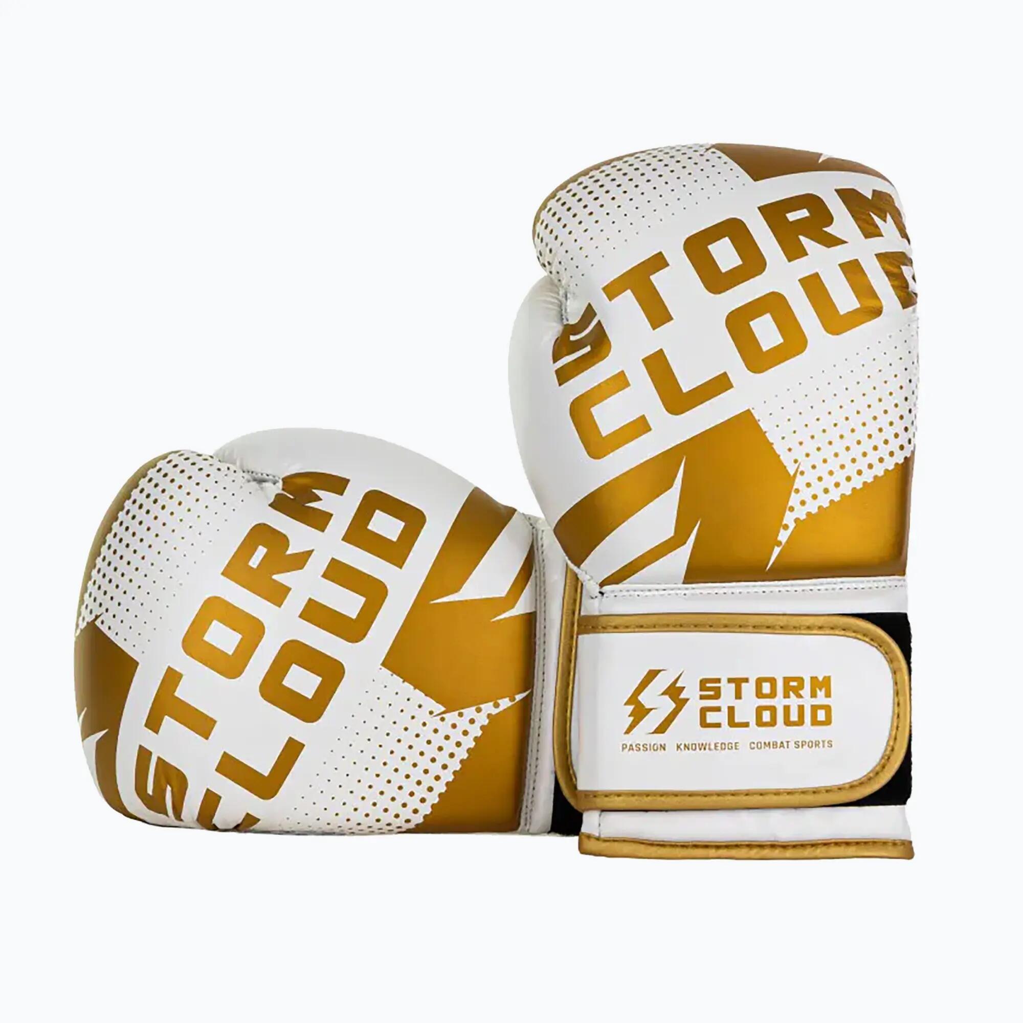 Guantes de boxeo StormCloud Bolt 3.0 3/7