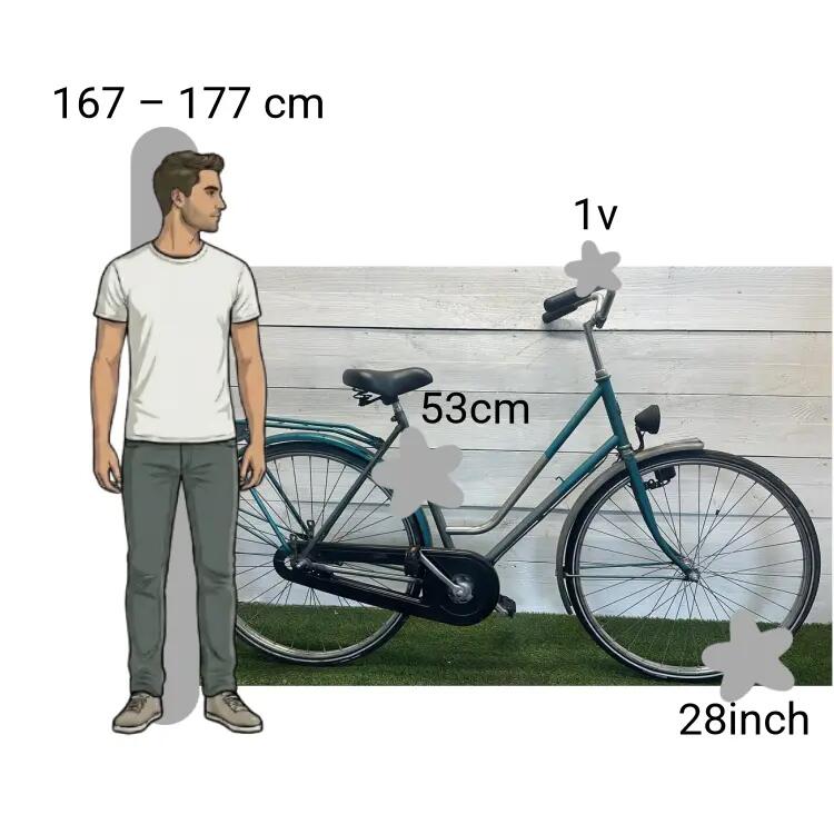 Bicicletta usata Sparta 2/4