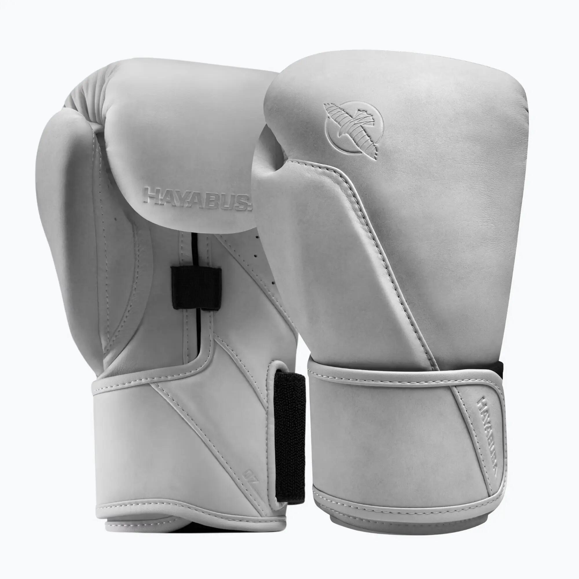 HAYABUSA picture