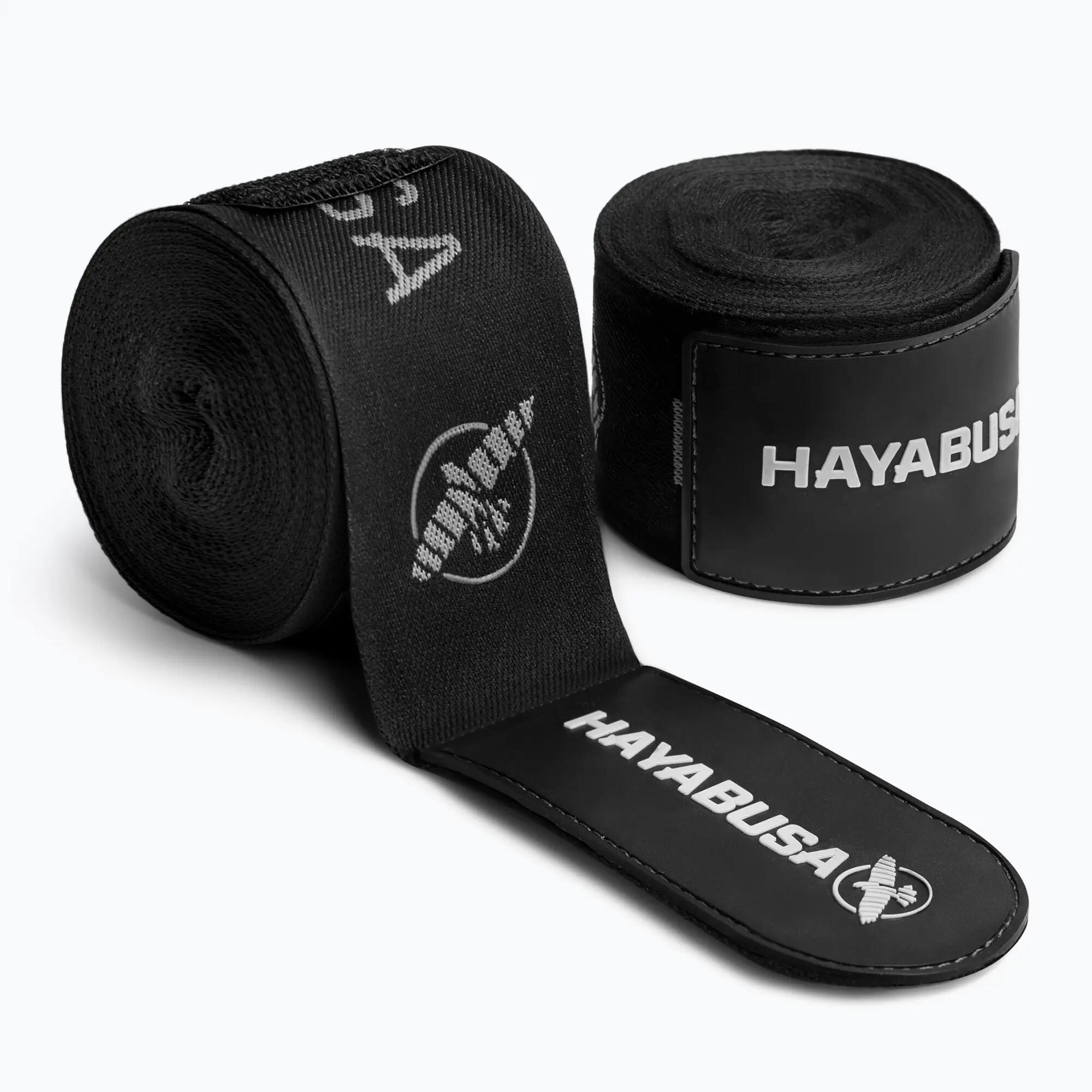 HAYABUSA picture