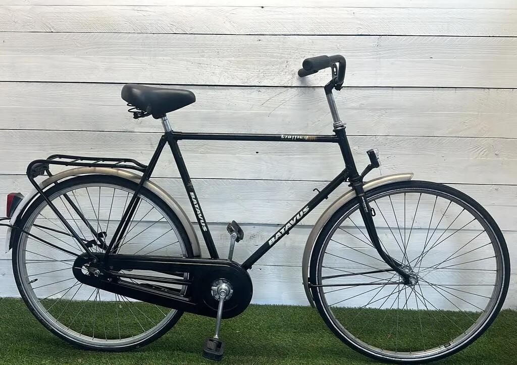 BATAVUS picture