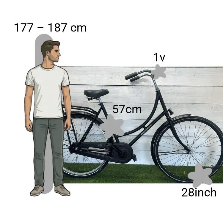 Bicicletta usata Avalon 2/4