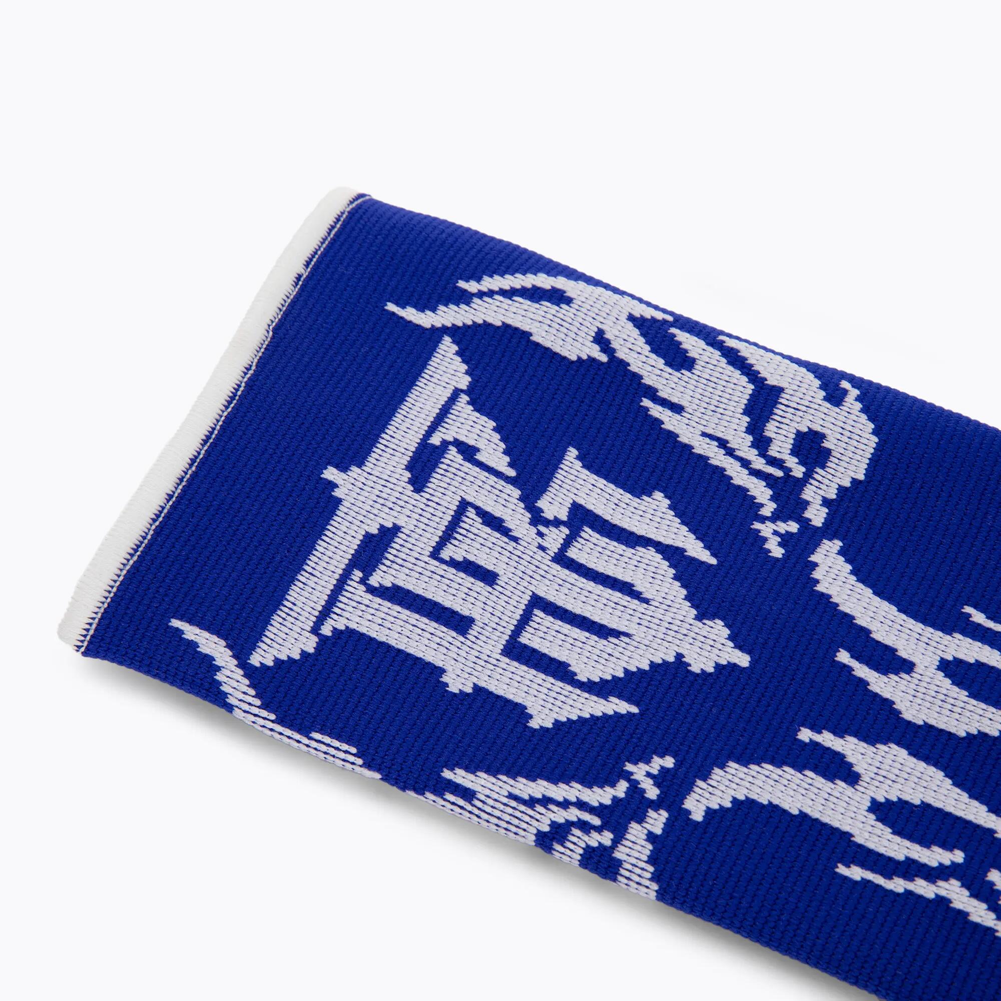 Protetores de tornozelo Top King TKANG-02 4/5