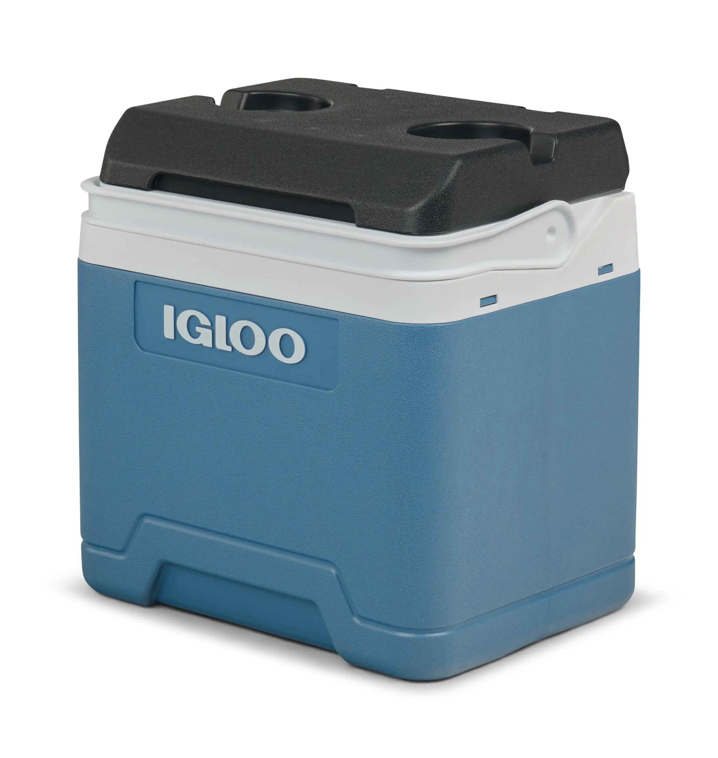 IGLOO picture