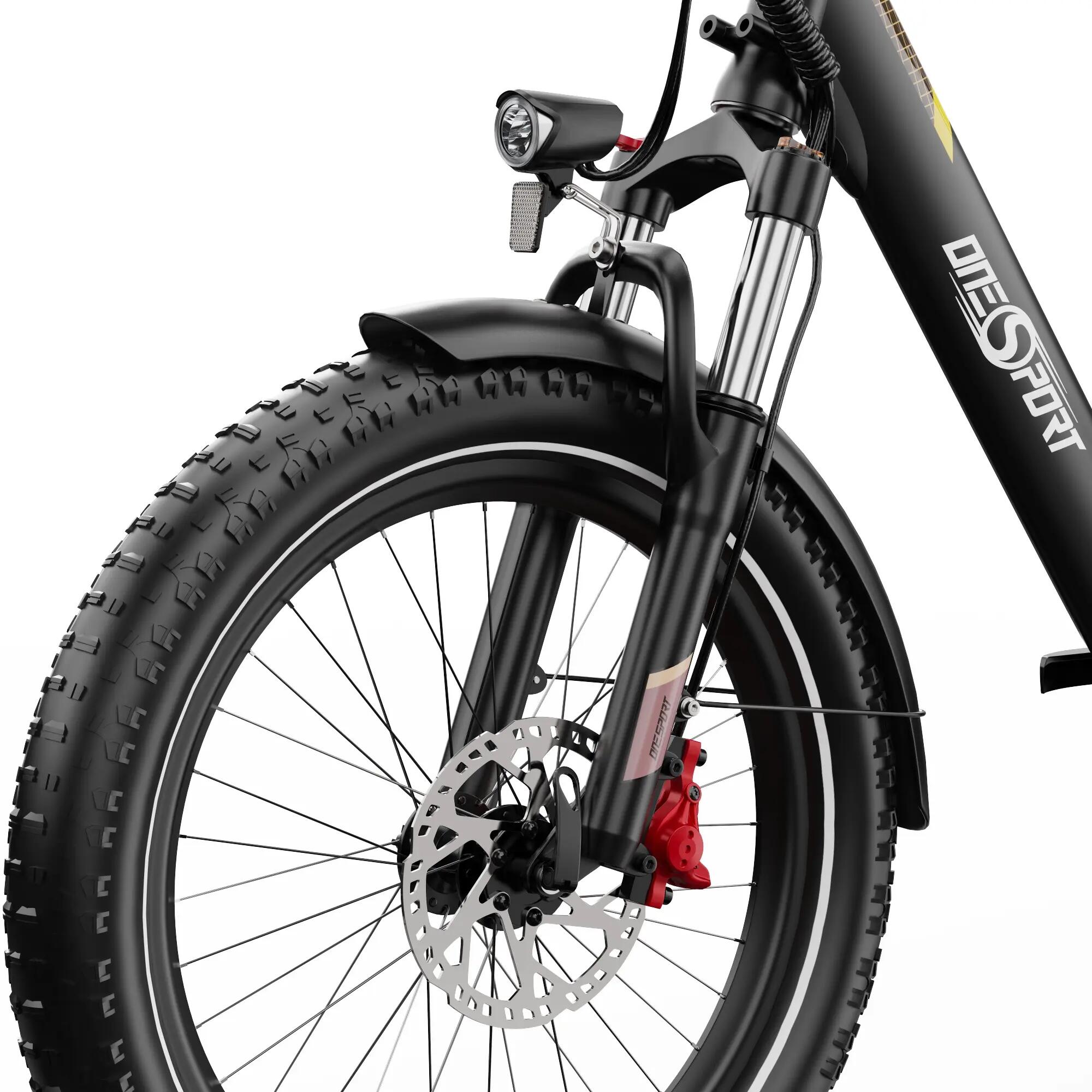 OT30 PRO tricycle électrique adulte, pneu 20×3.0", batterie 48V18Ah. 10/11