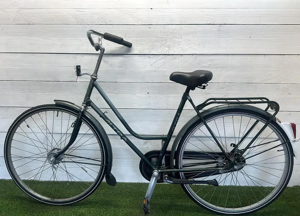Bicicletta usata Altra 4/4